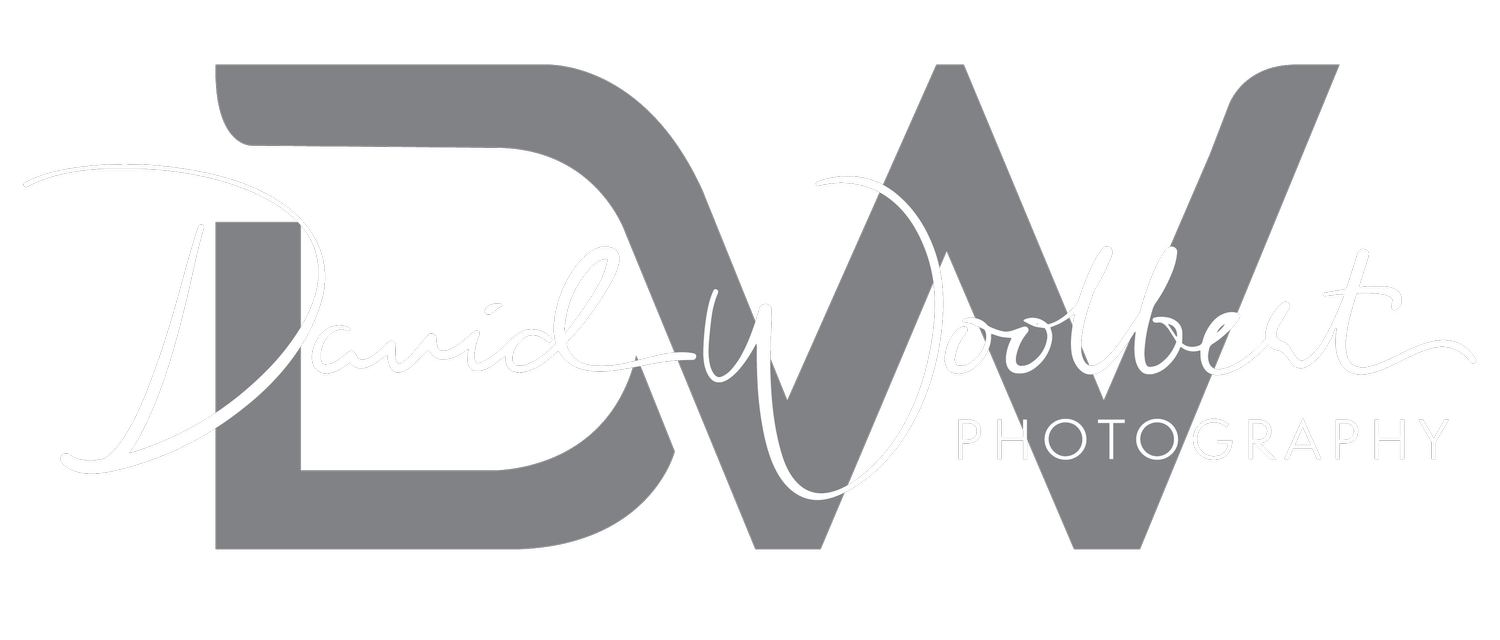 David Woolbert Photography