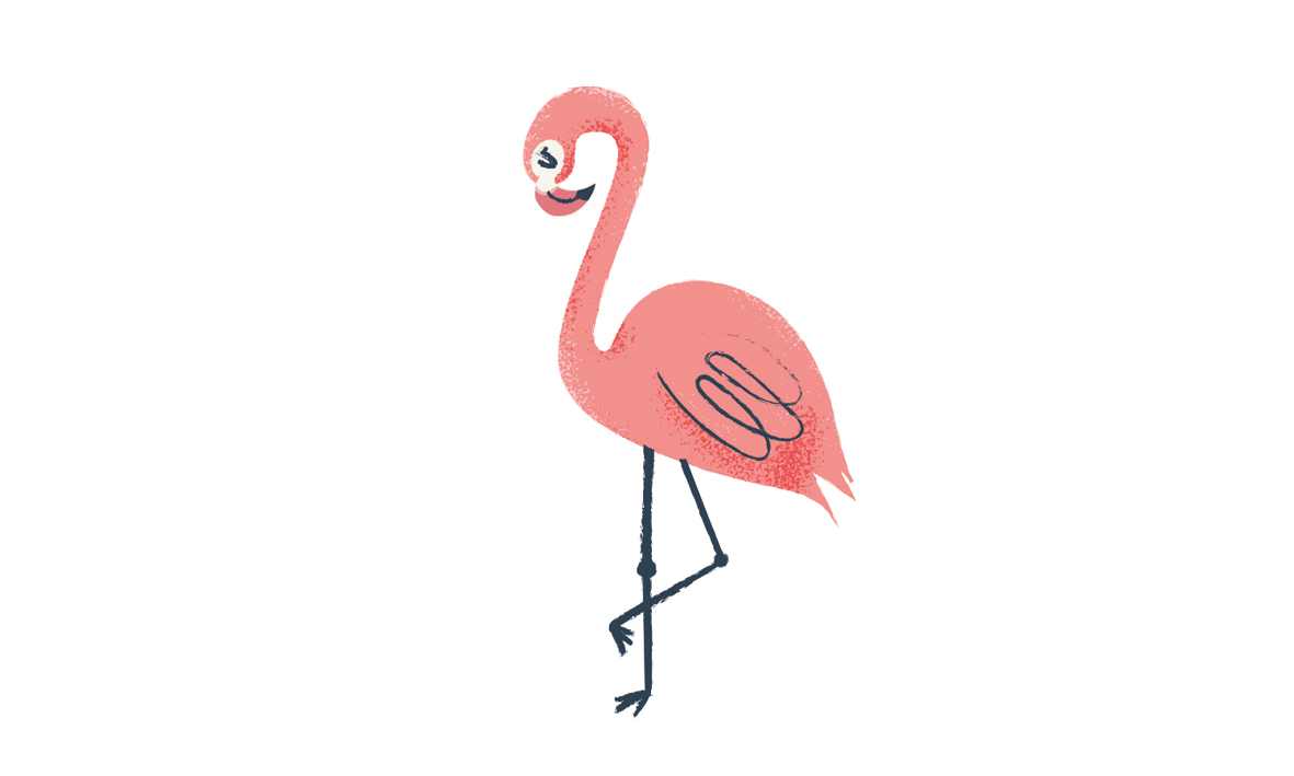 Flamingo.png