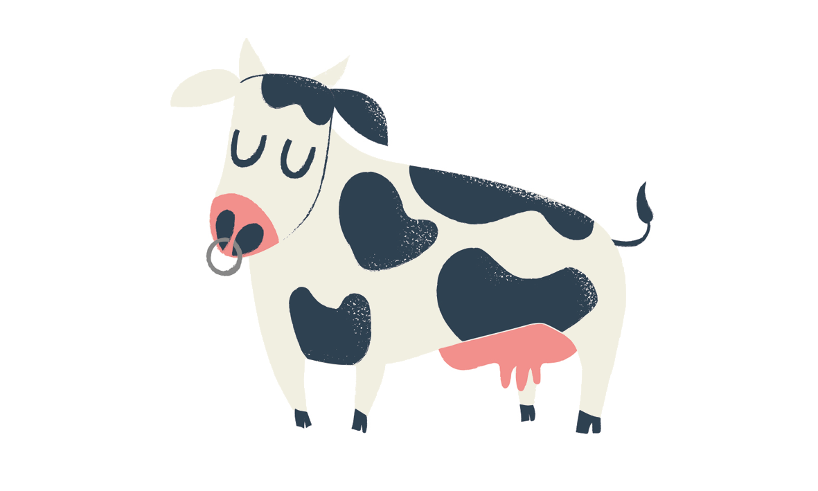 Vache.png