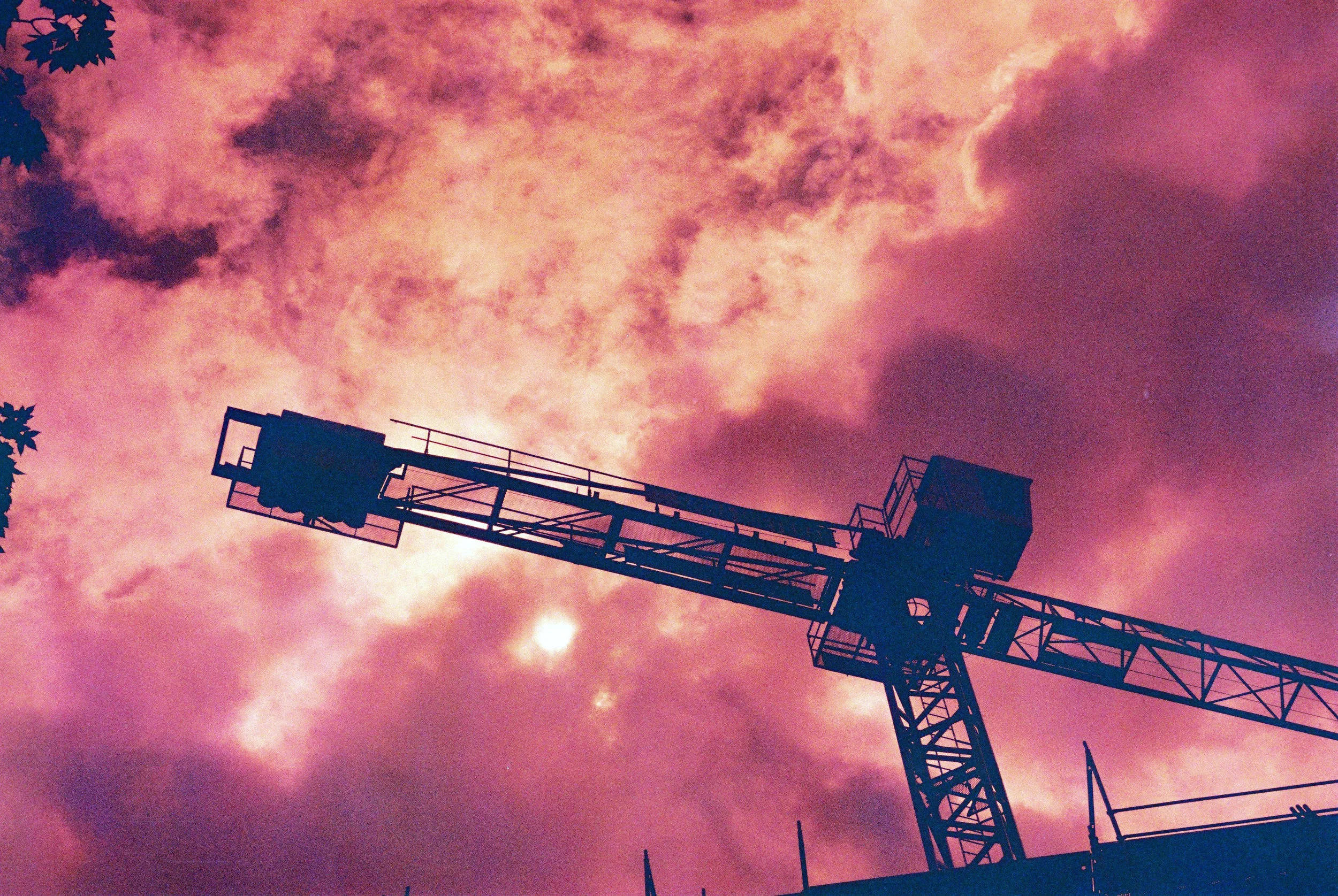 Week 41: Nik &amp; Trick redscale film review