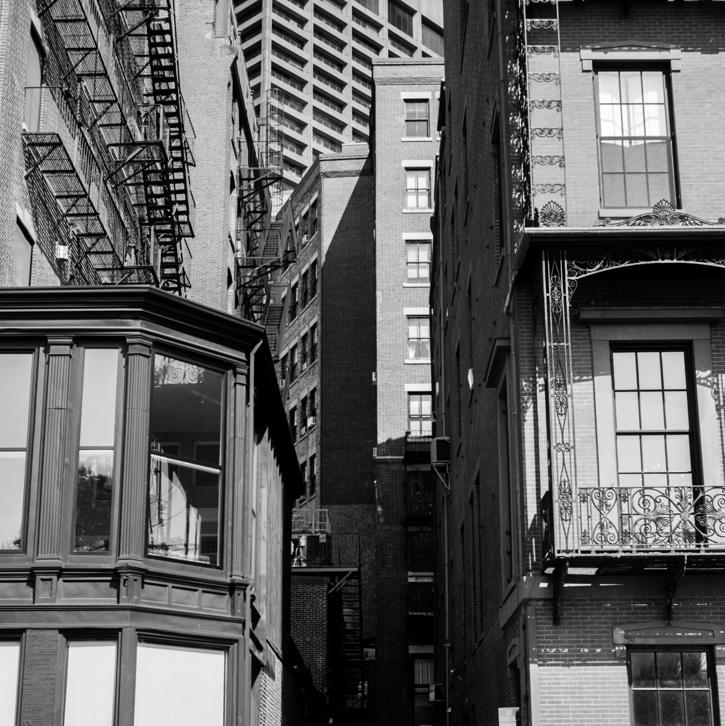 Image8 13.jpg