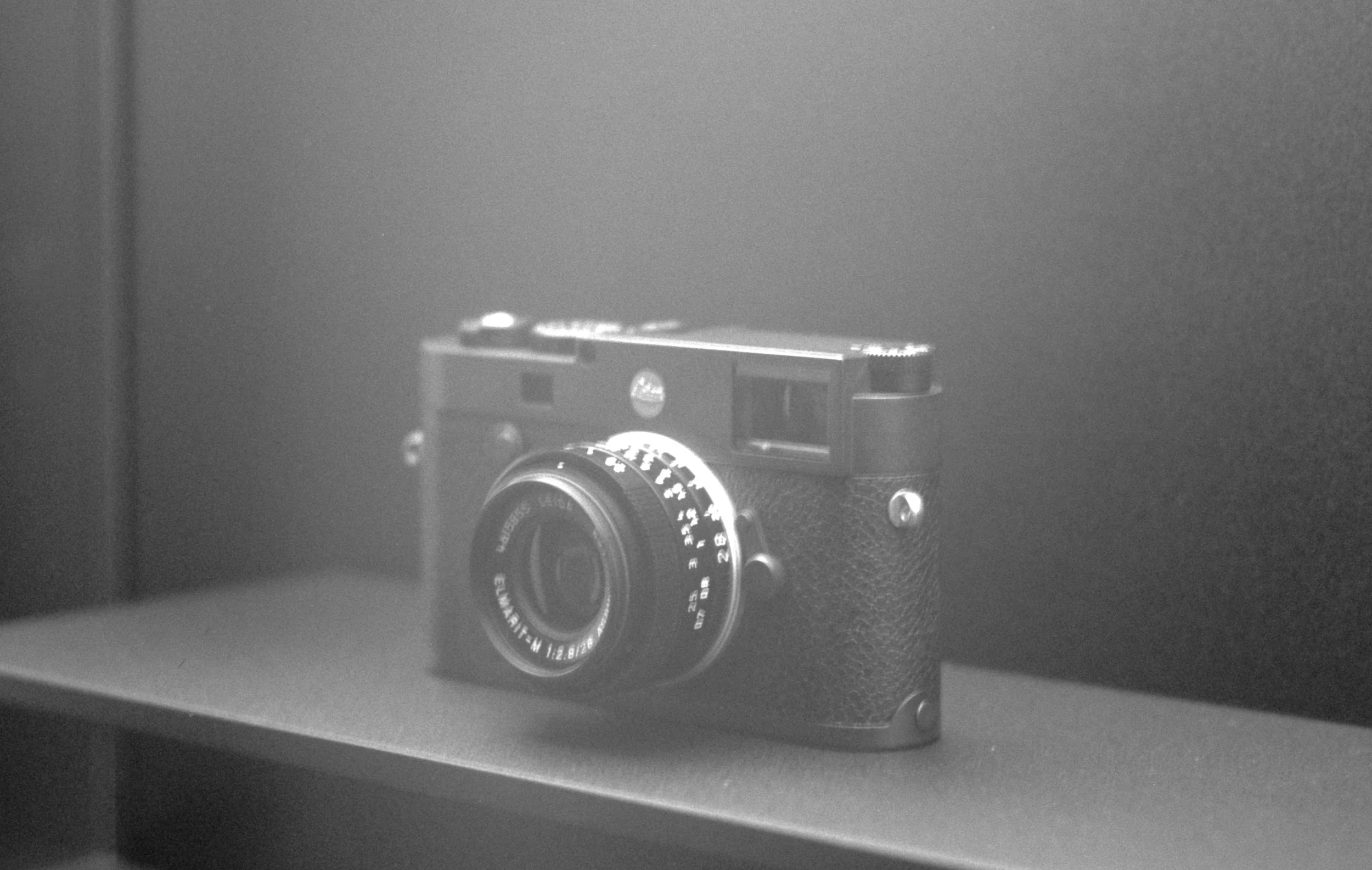 Image 11.jpg