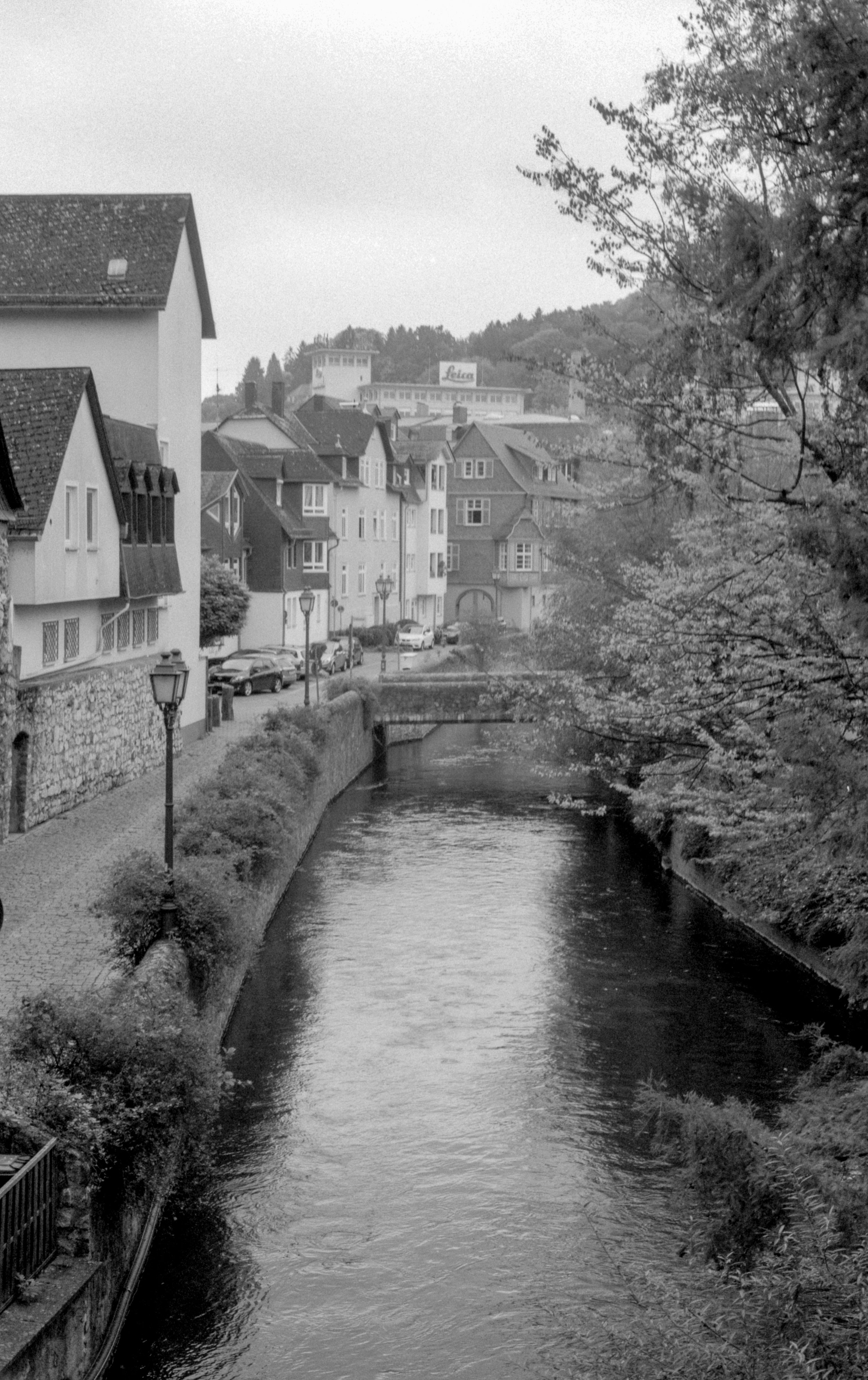 Image 5.jpg