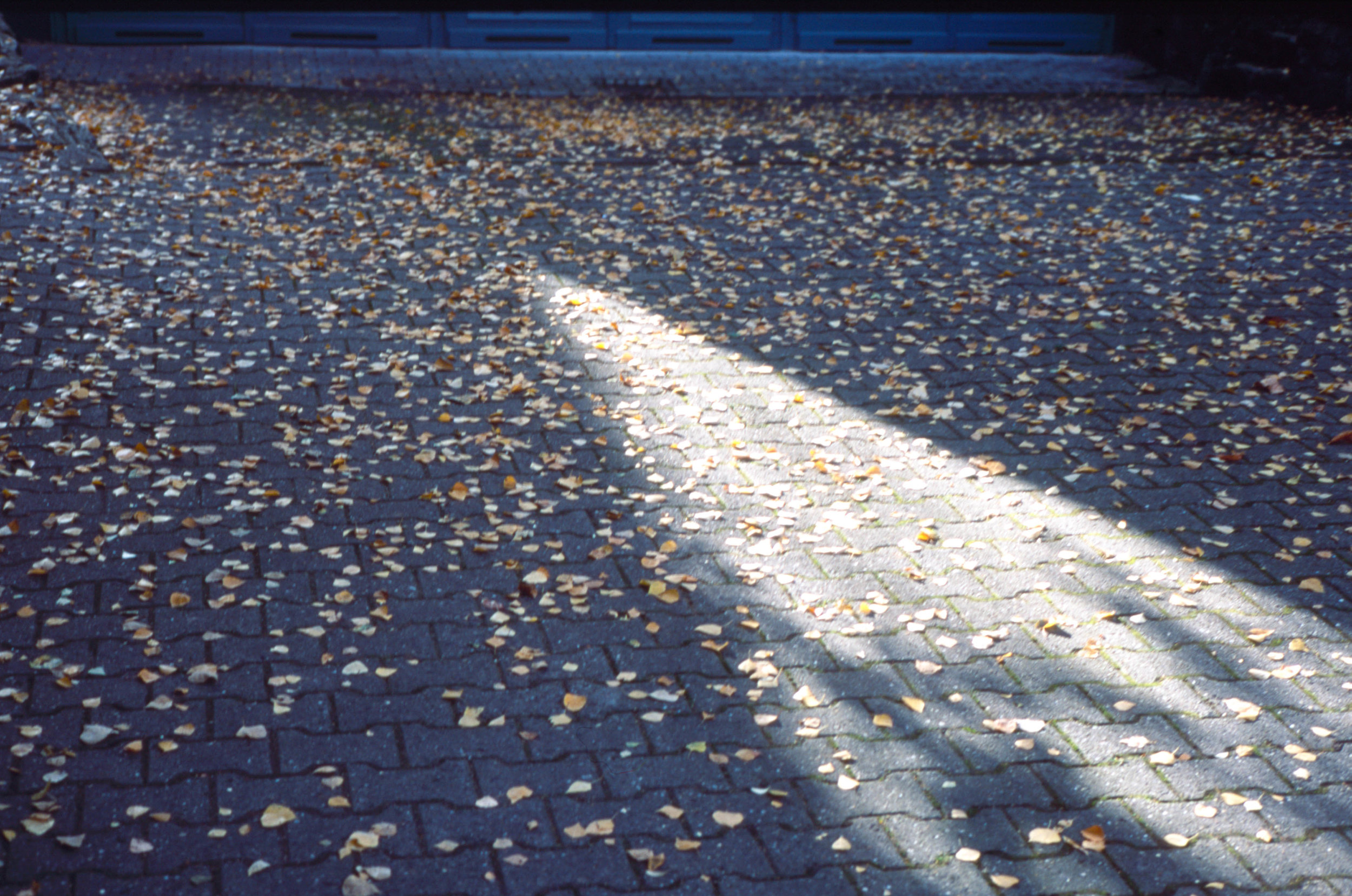 Image 1.jpg