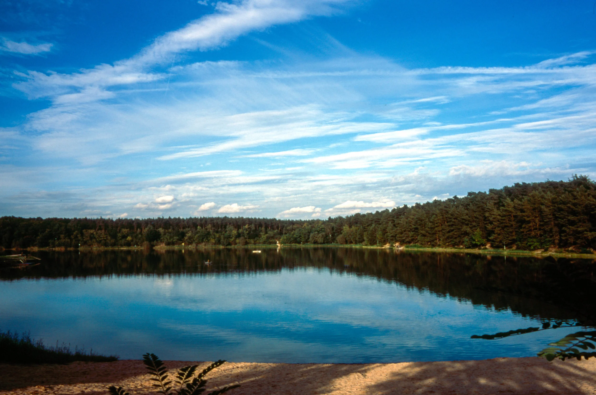 Image 6.jpg