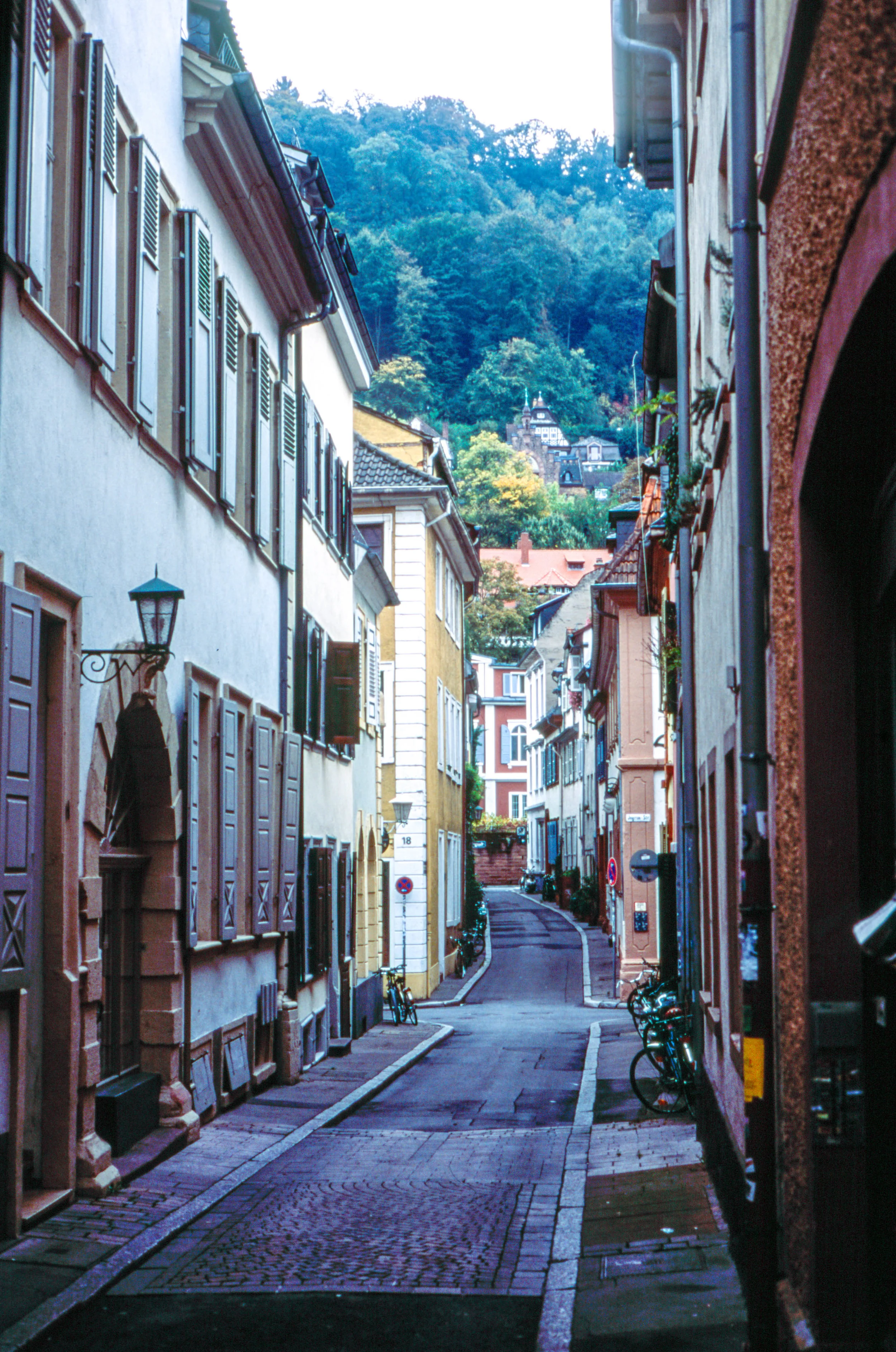 Image 1-2.jpg