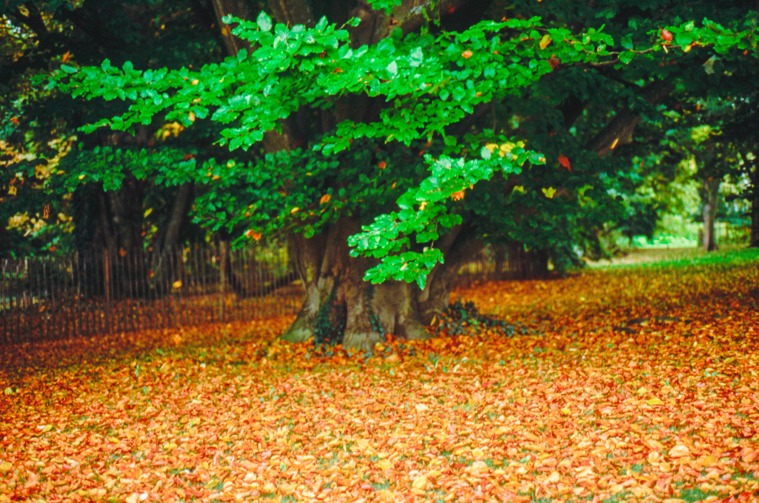Image 16-2.jpg