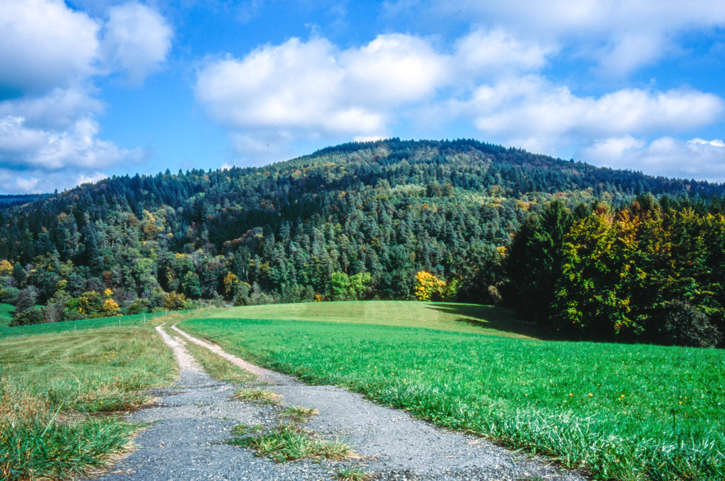 Image 13-3.jpg