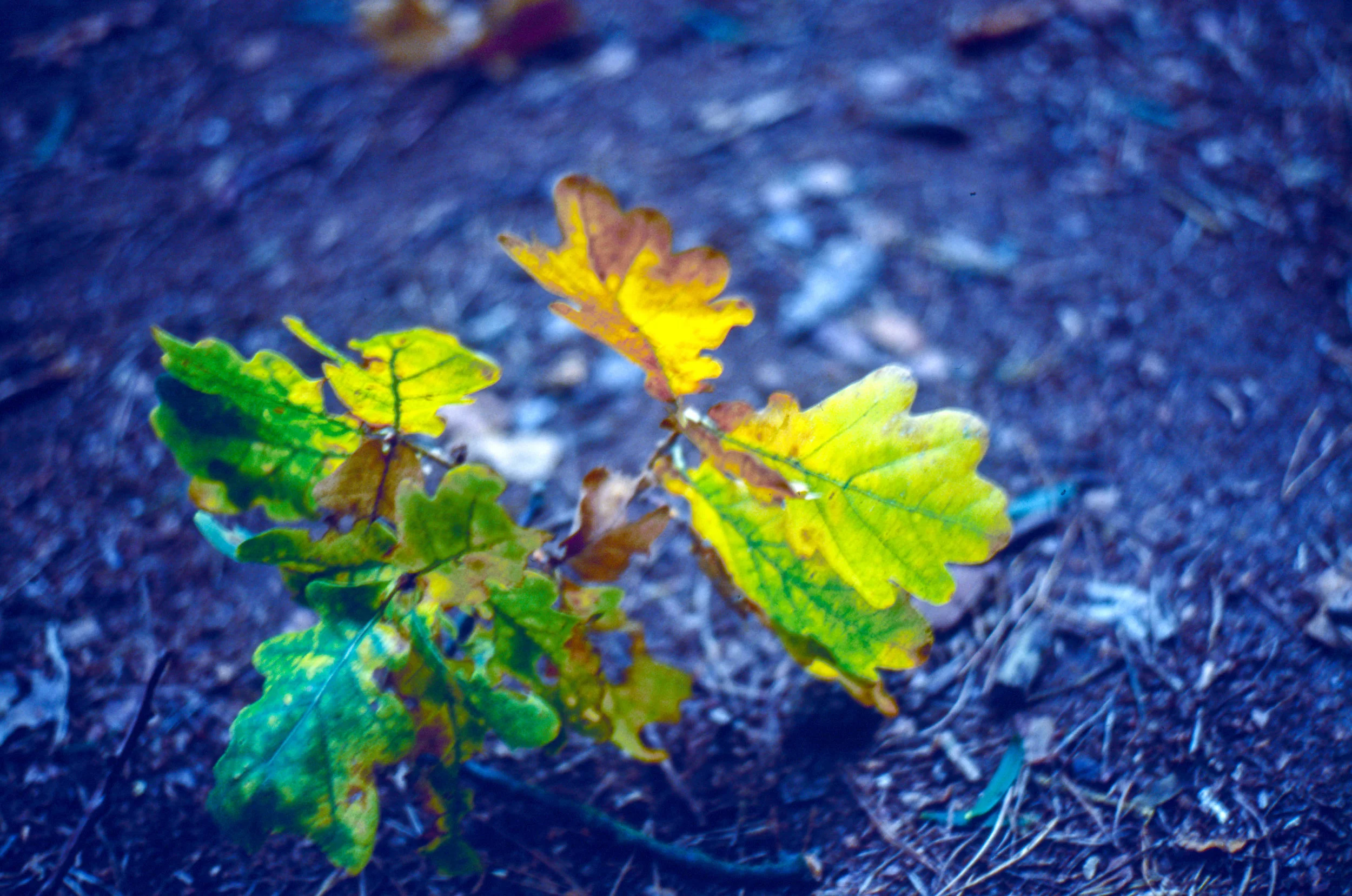 Image 23.jpg