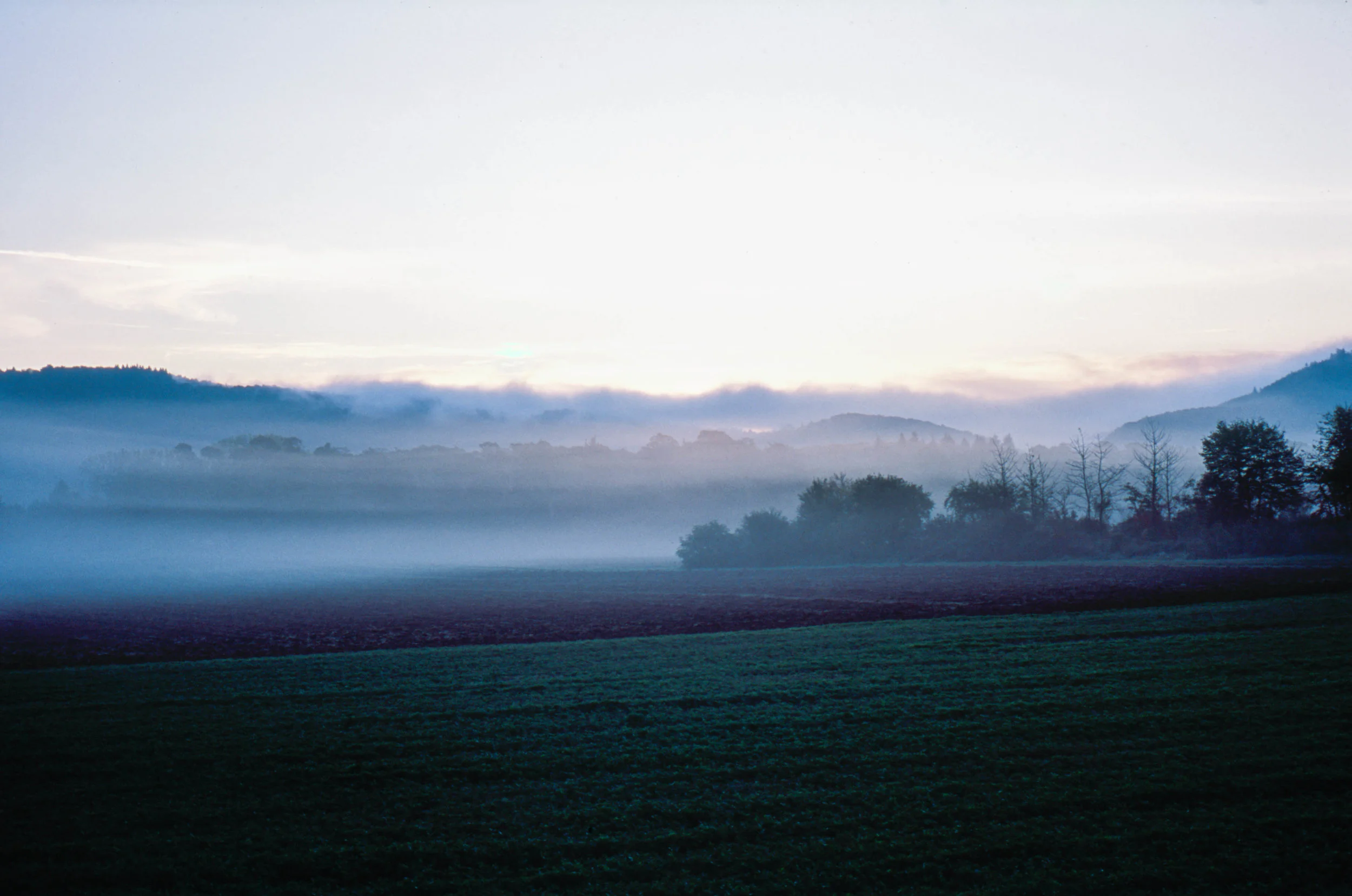 Image 18-2.jpg