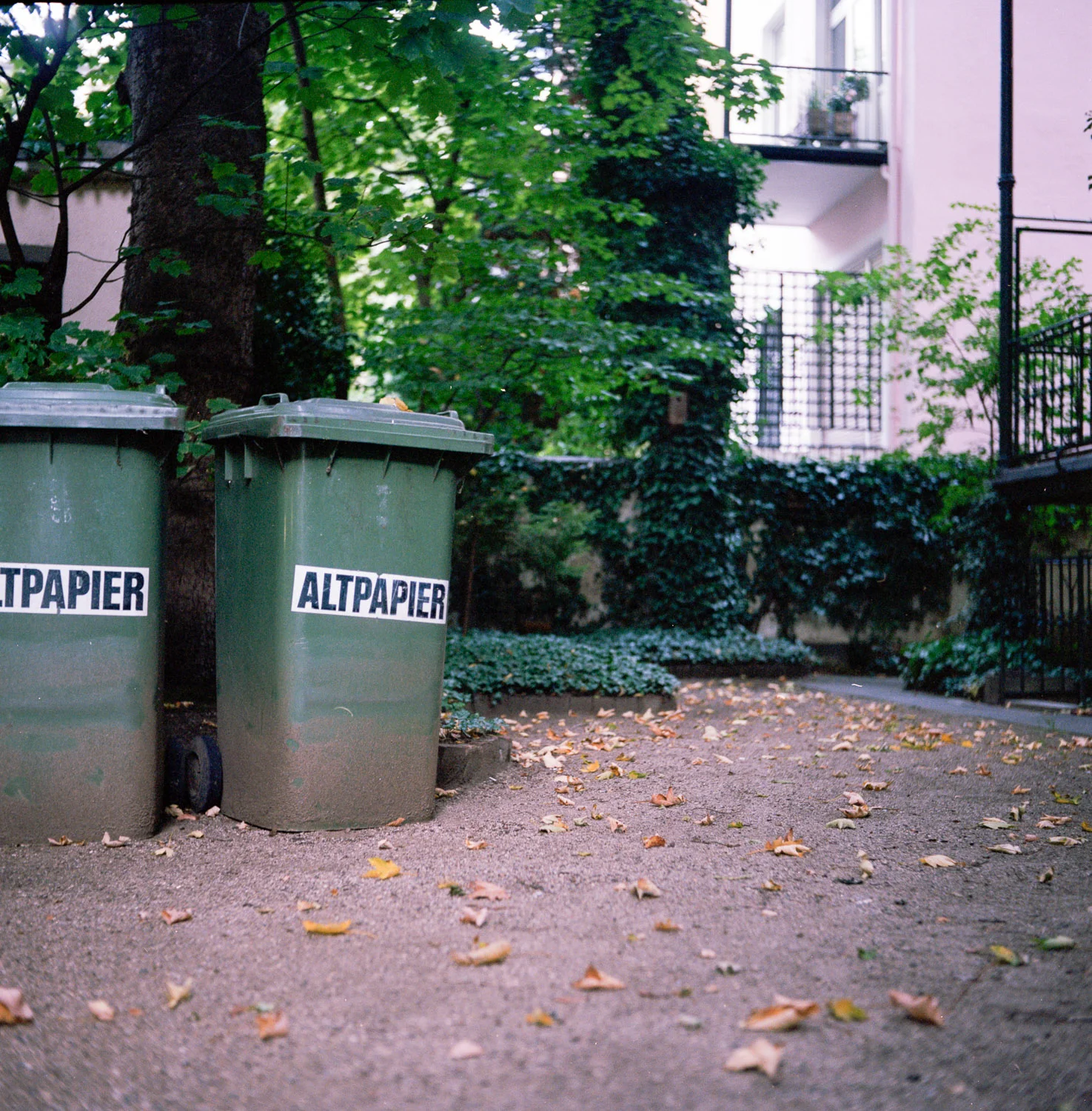Image 1 (4).jpg