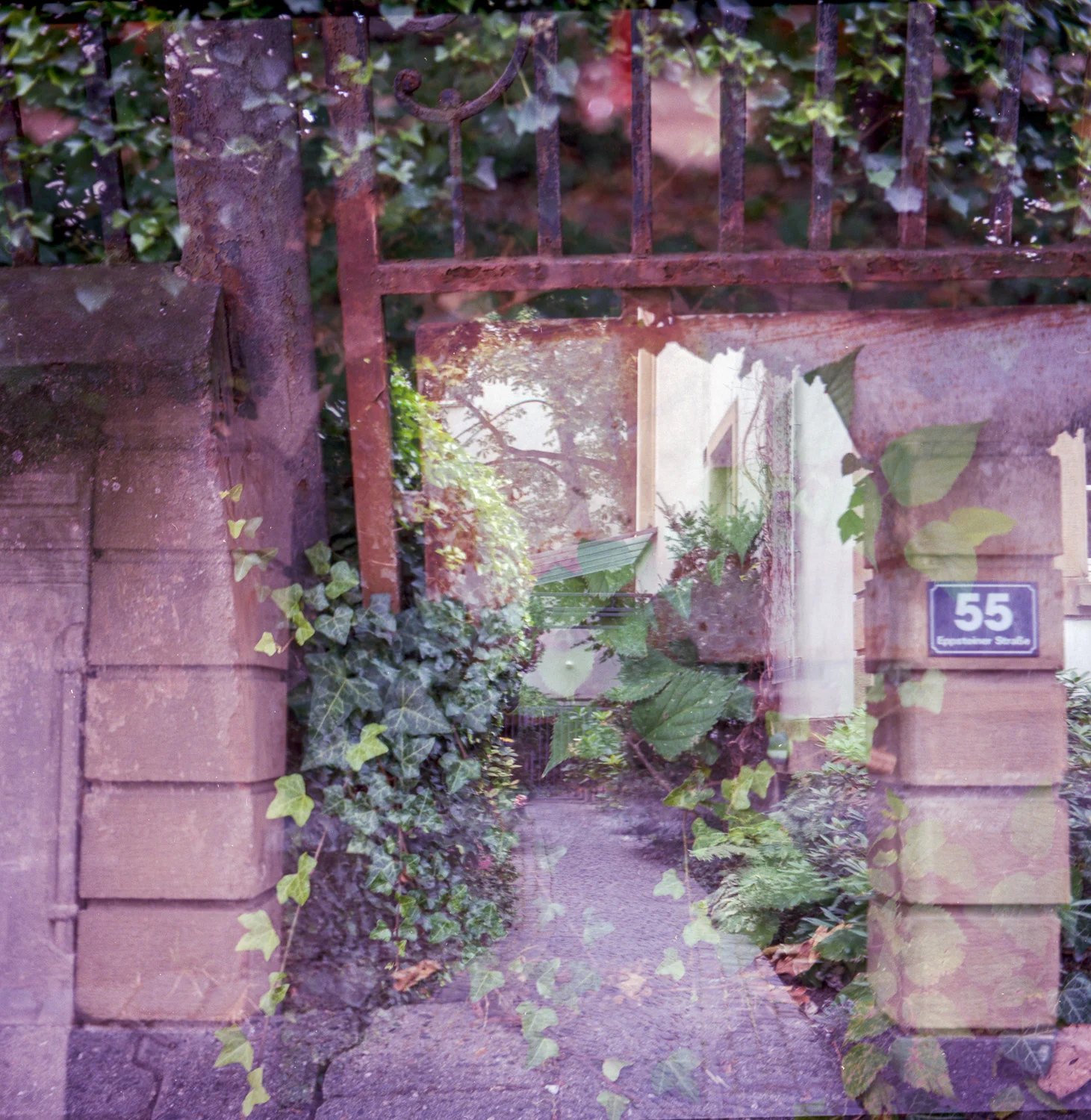 Image 2.jpg