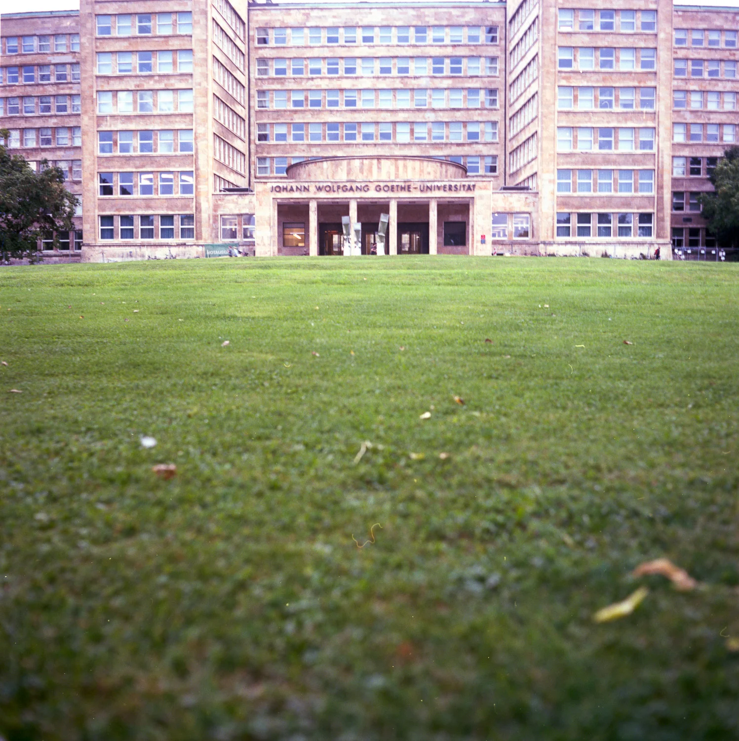 Image 5.jpg