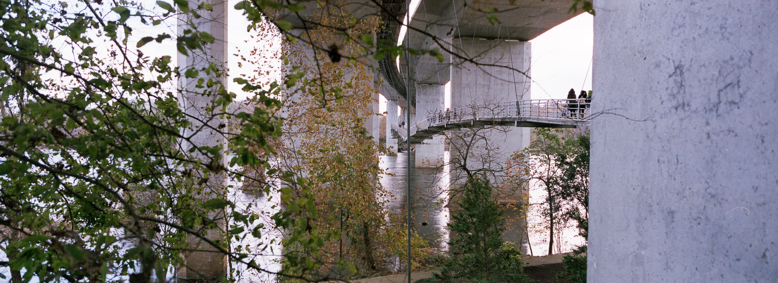 Image 22 47.jpg