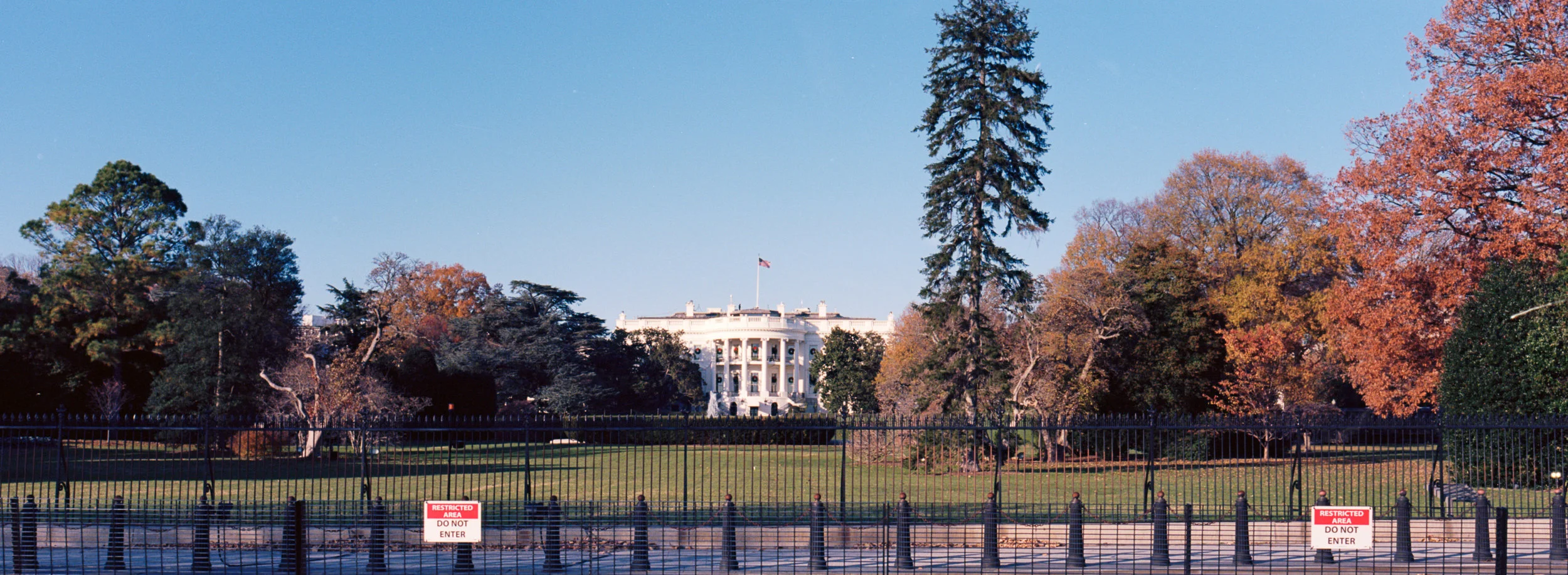 Image 2 1.jpg