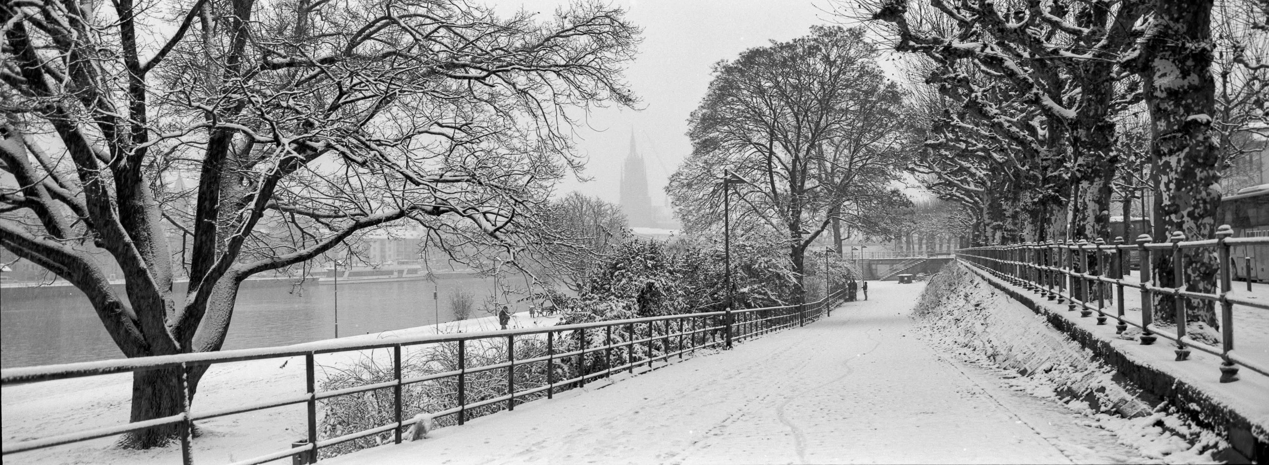Xmas Delta 100 1 1 17.jpg