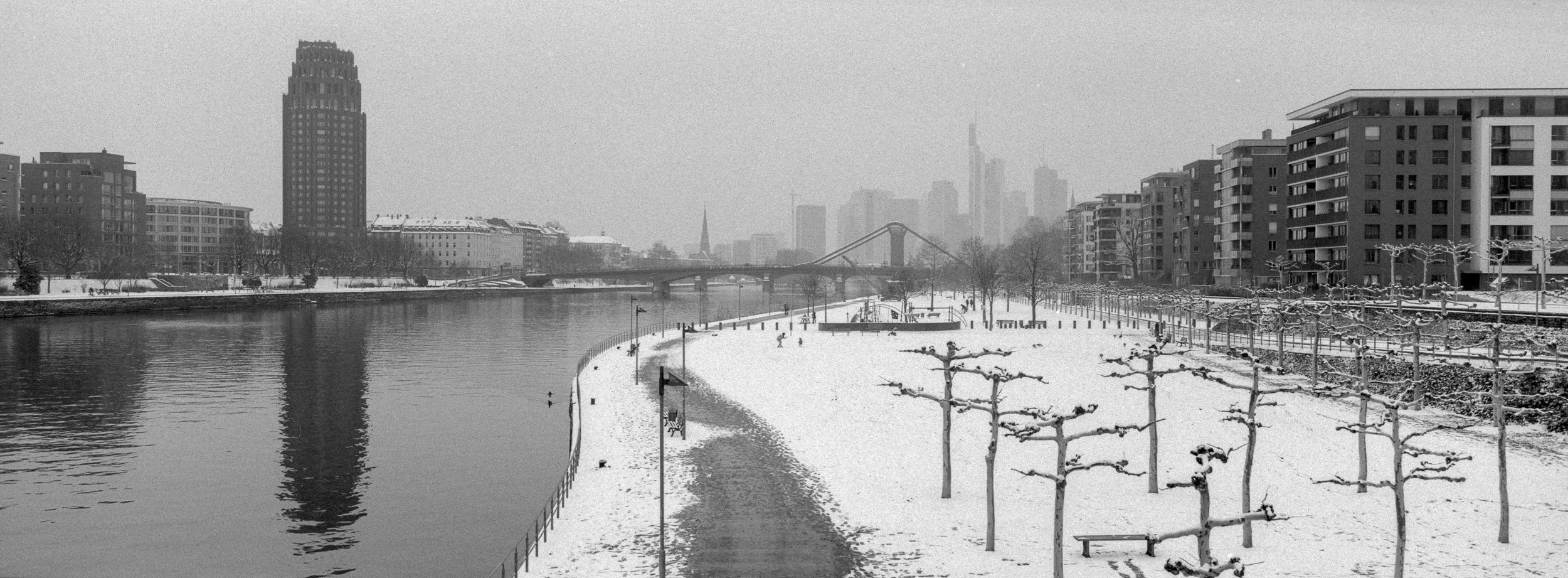 Image1.jpg