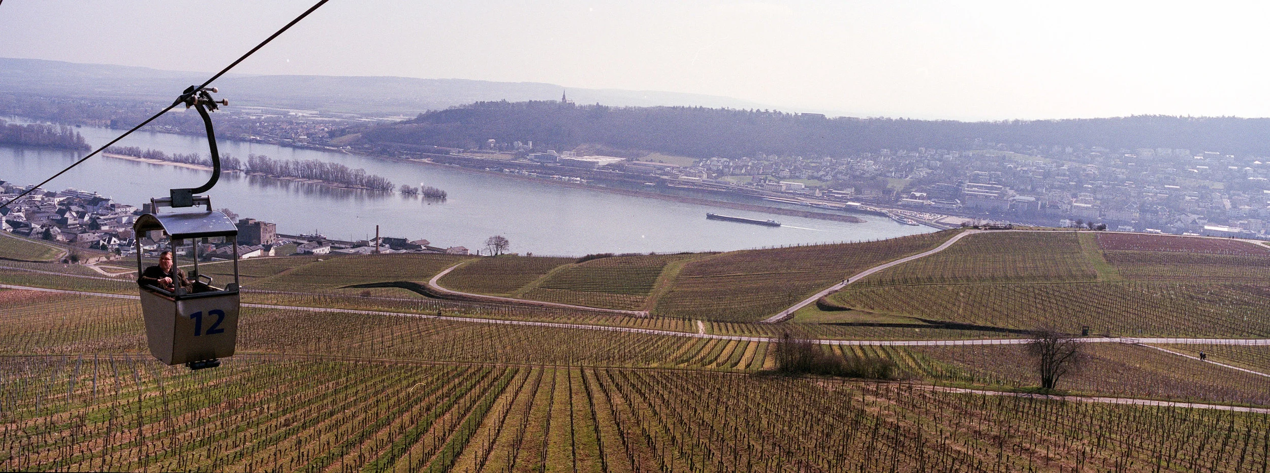 RheinGau39.jpg