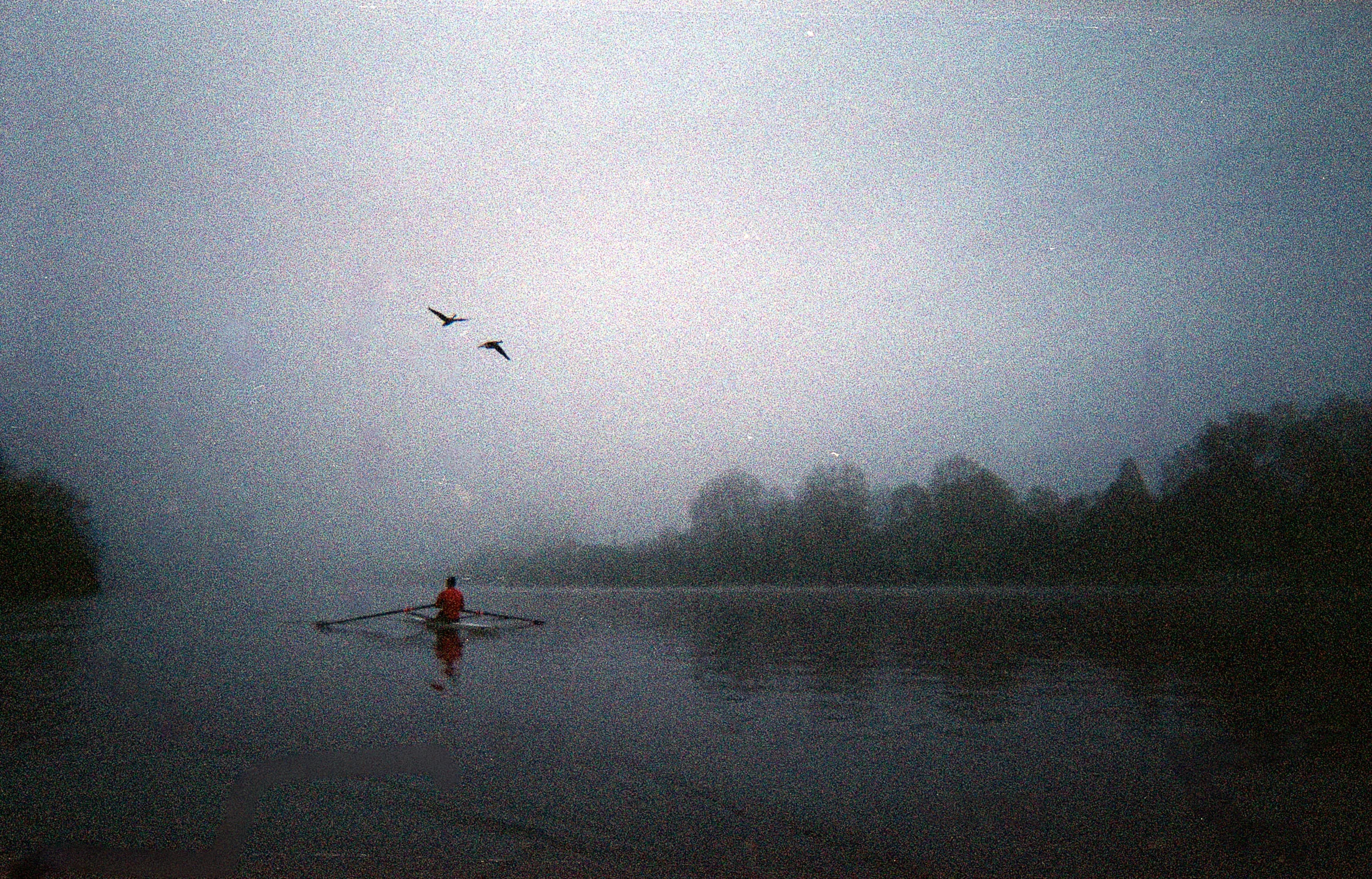 Rowing10.jpg