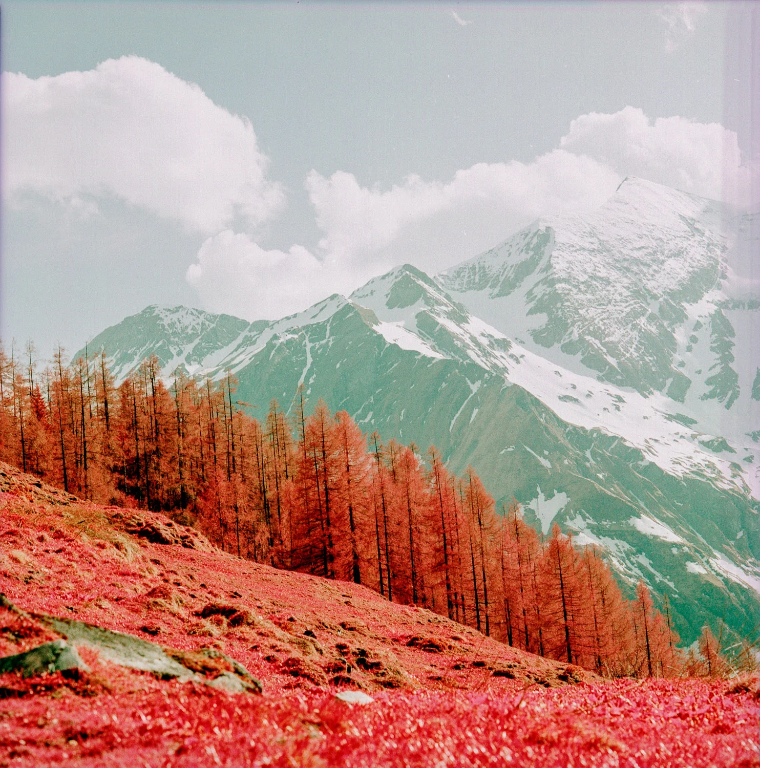 It's time for more Infrared photography!