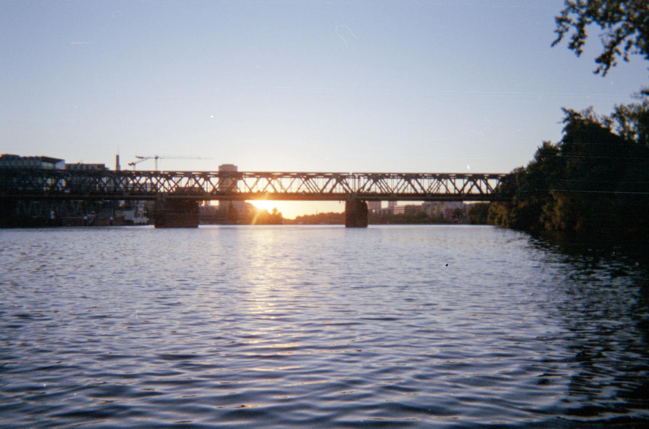 FFMrowing10.jpg
