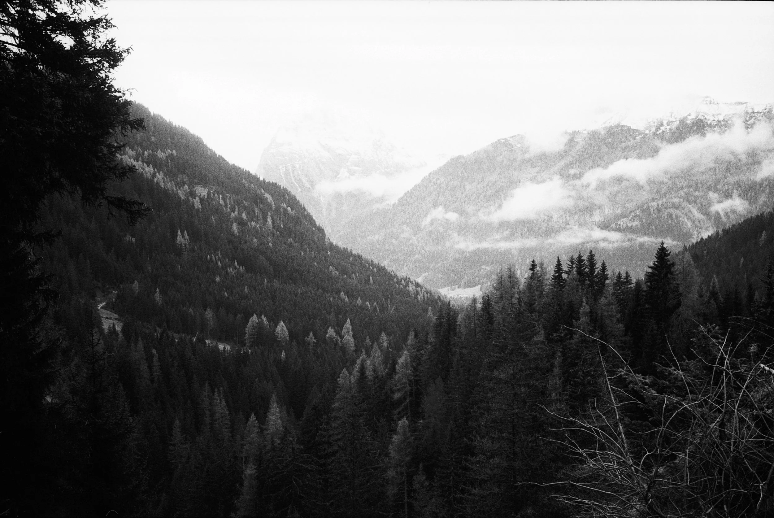 Image19.jpg