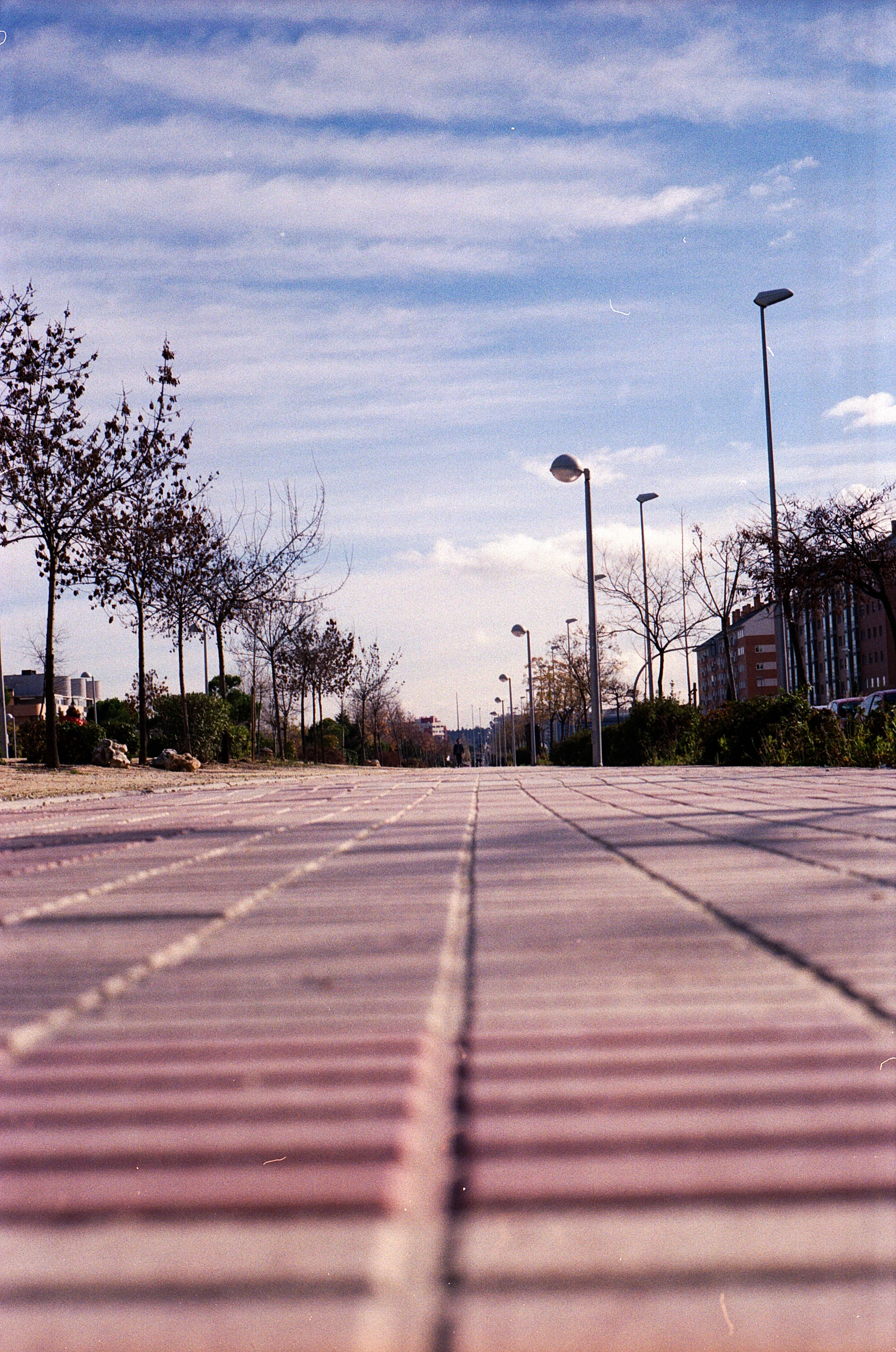 Mad-colour10.jpg