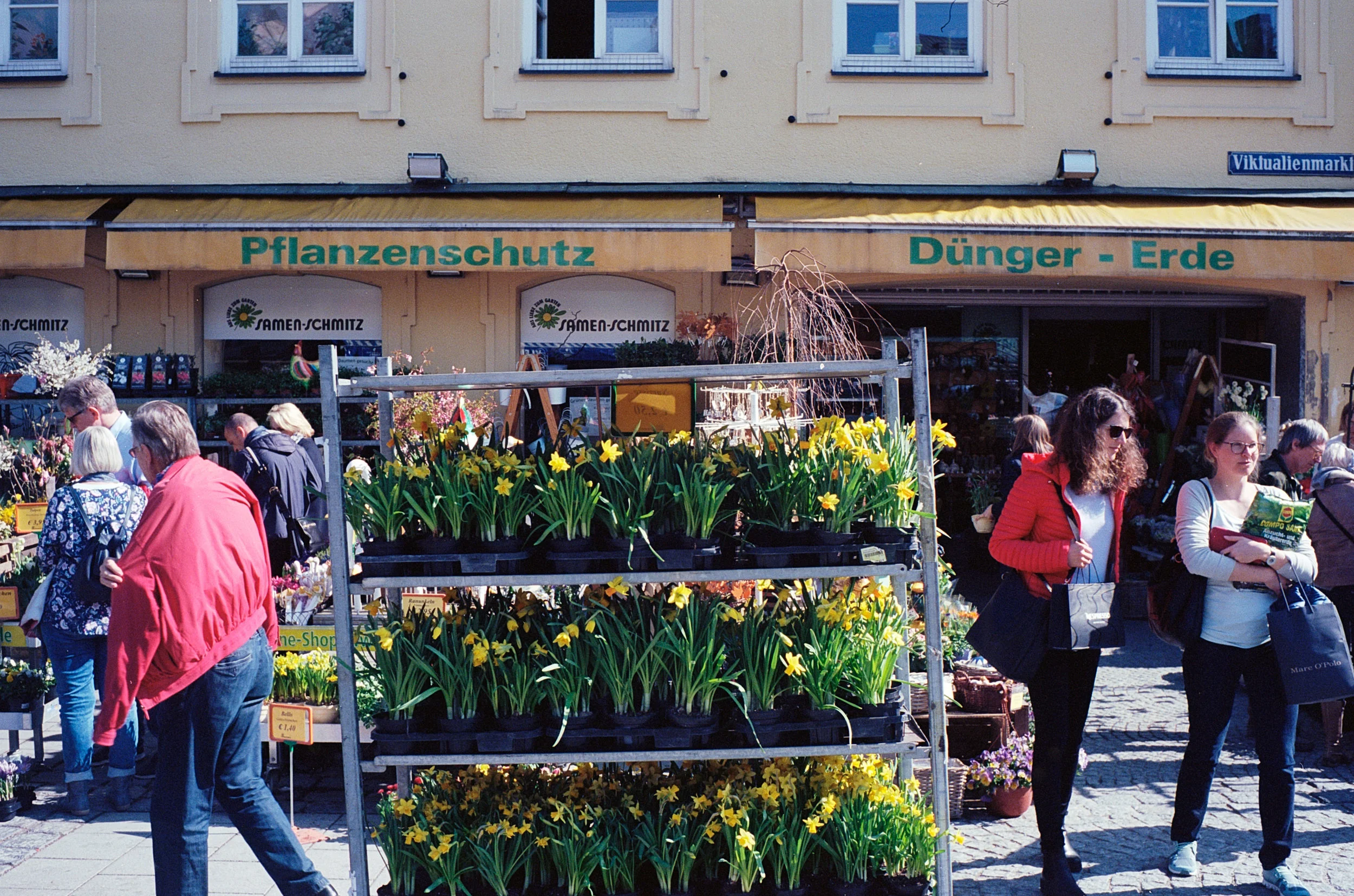MUC_Spring6.jpg