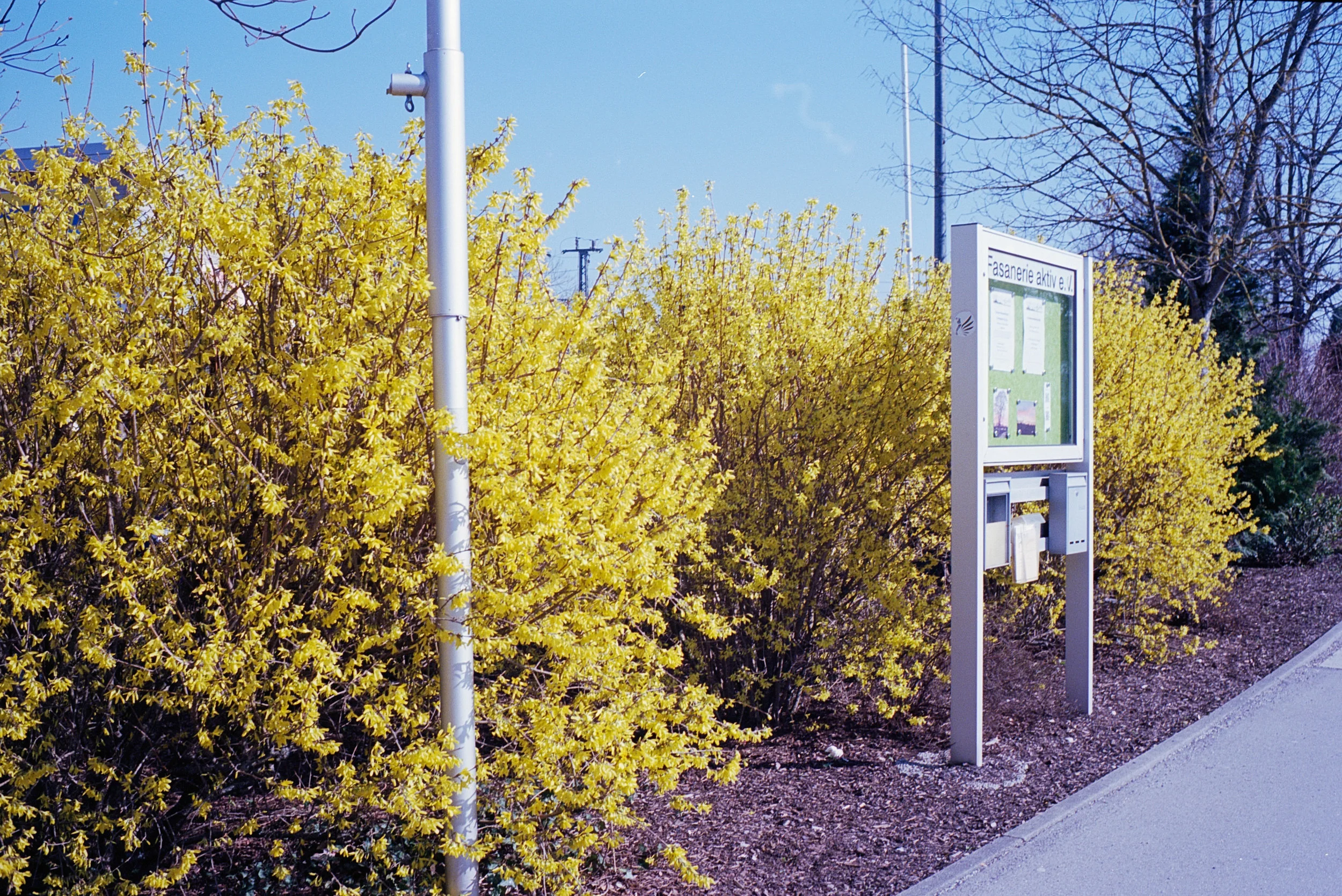 MUC_Spring23.jpg