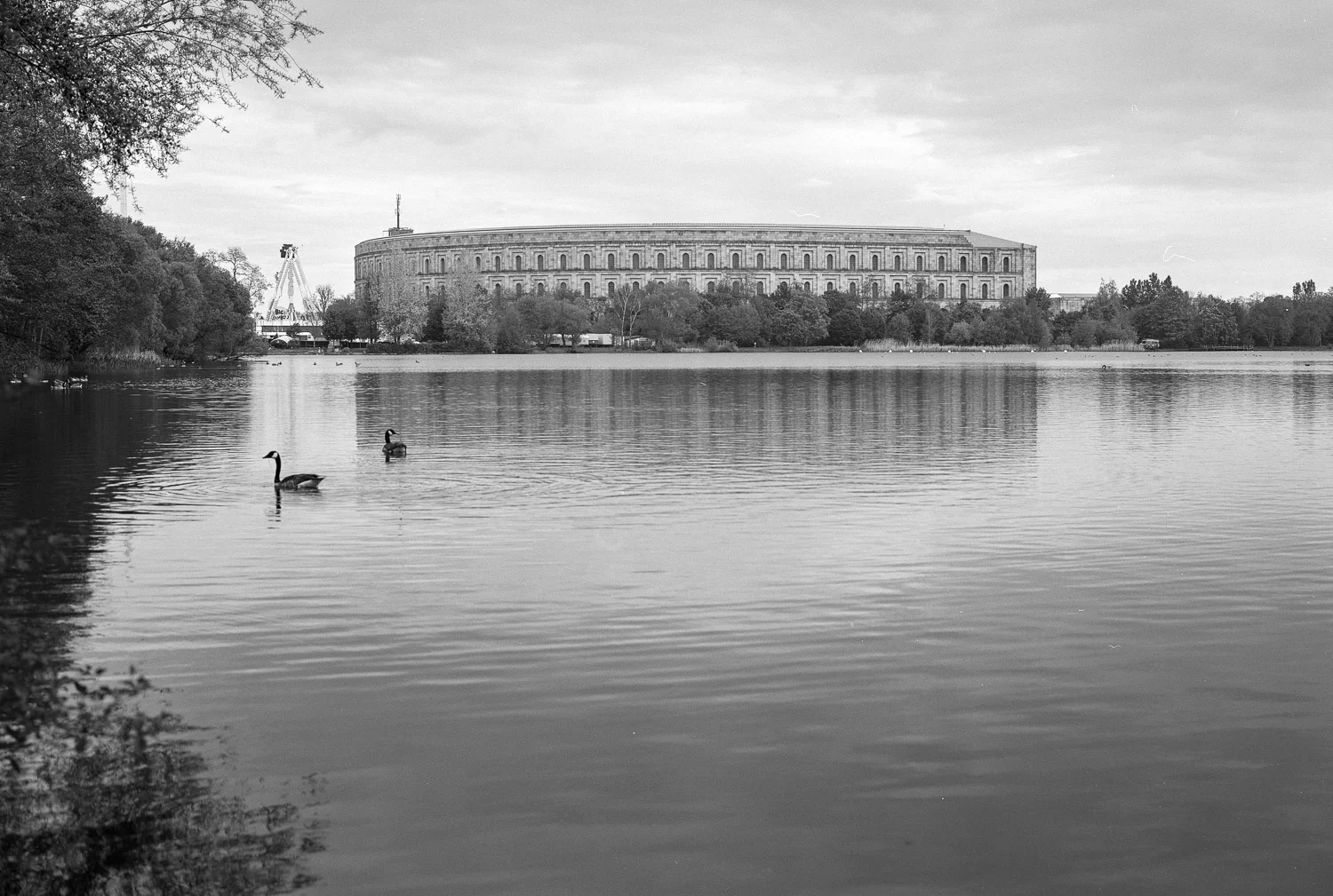 Nberg26-2.jpg