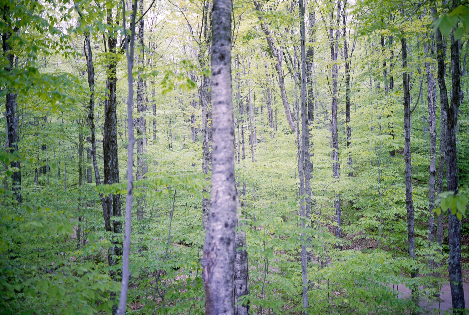 Craftsbury33.jpg