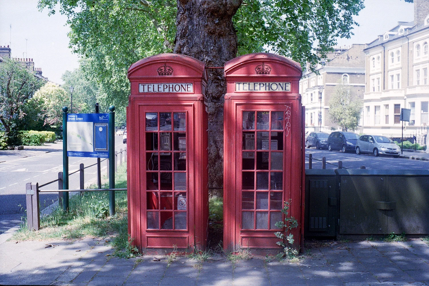 Kodak Pro Image 100 goes on a colourful photowalk