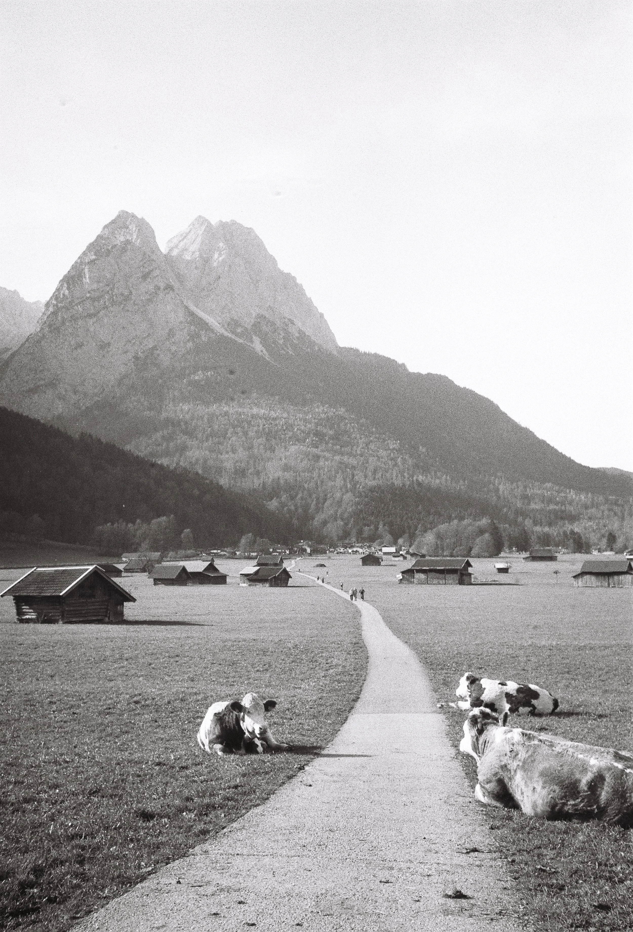 Agfa 100 goes on a gravel trip through Bavaria into Austria
