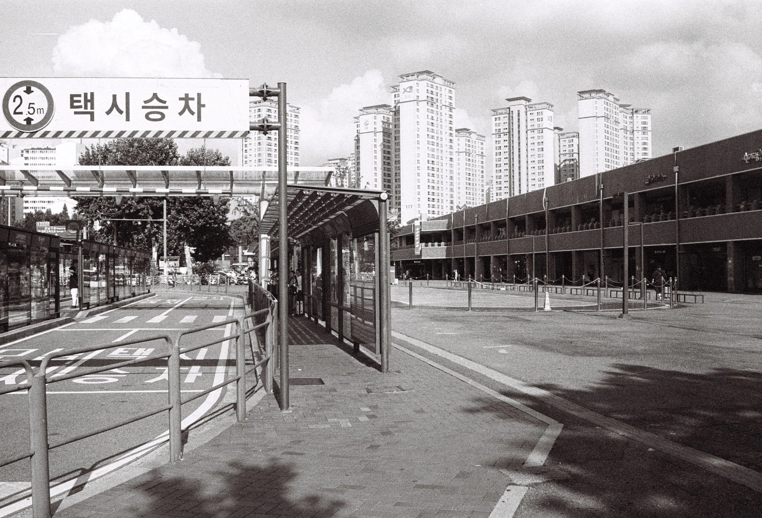 R1-09966-0000.jpg
