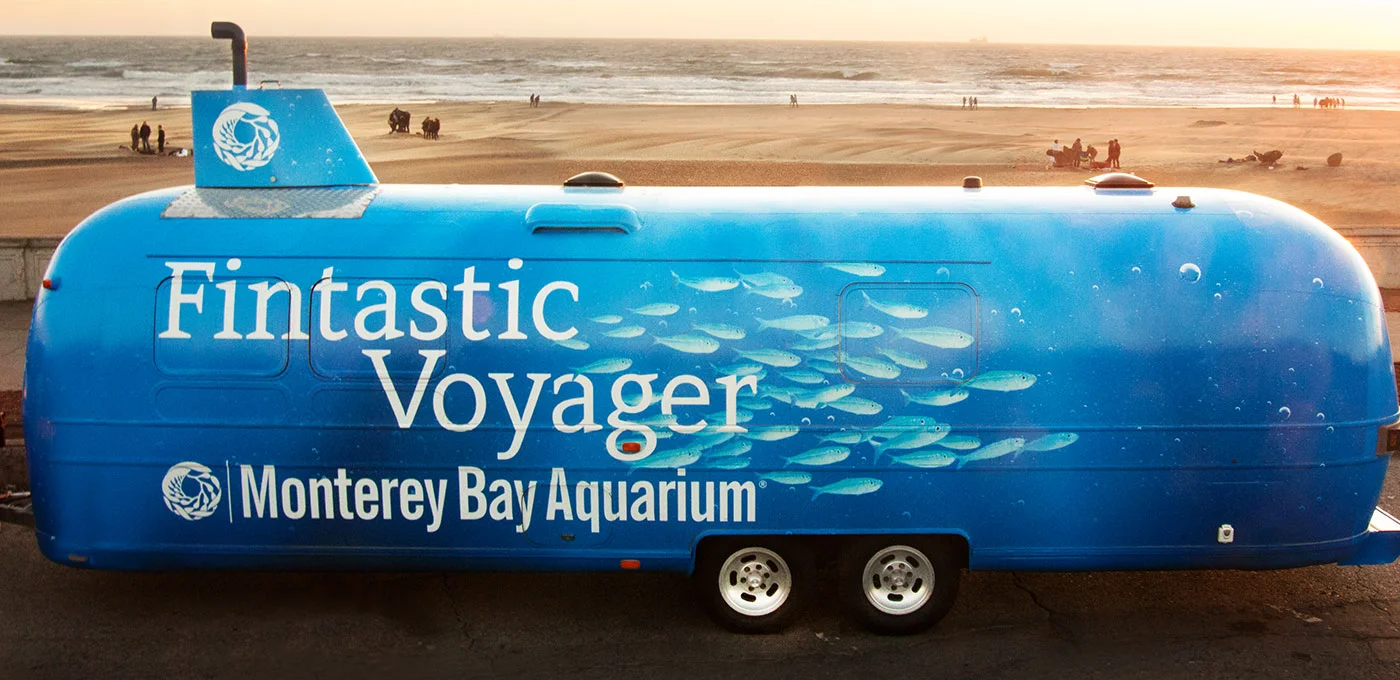 MBA_Fintastic_exterior_view.jpg