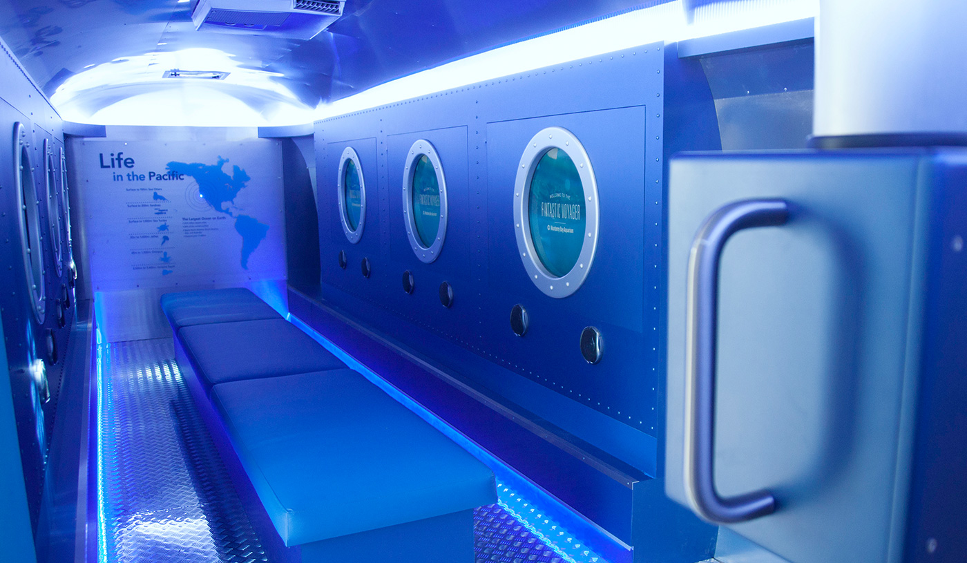 MBA_Fintastic_interior_view.jpg