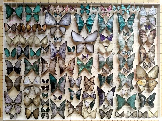 Butterflies — Mark Rautenbach