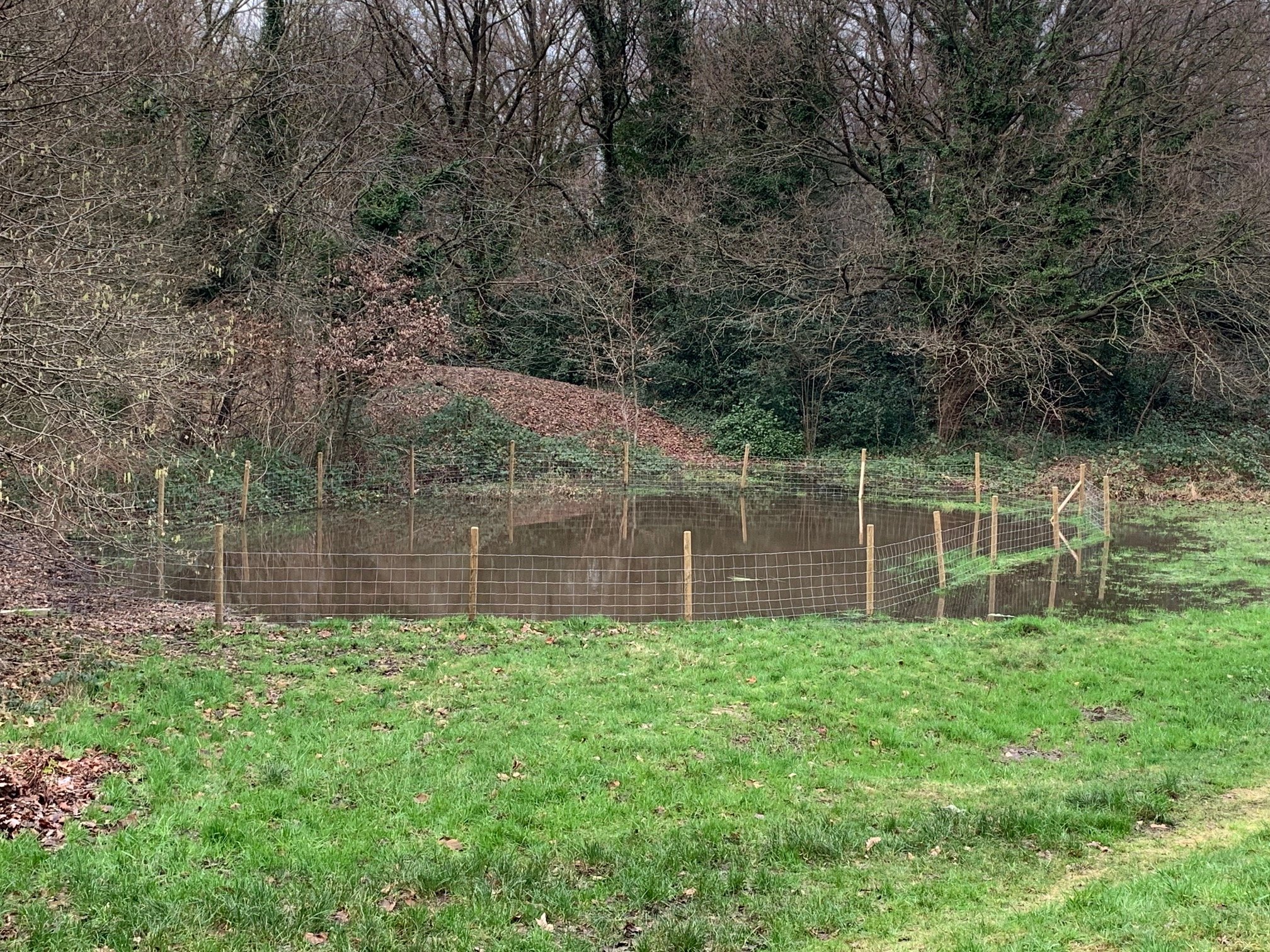 Walking the Westbourne: a geological trail along the River Westbourne from Branch Hill Pond to the Thames: an illustrated talk by Diana Clements 