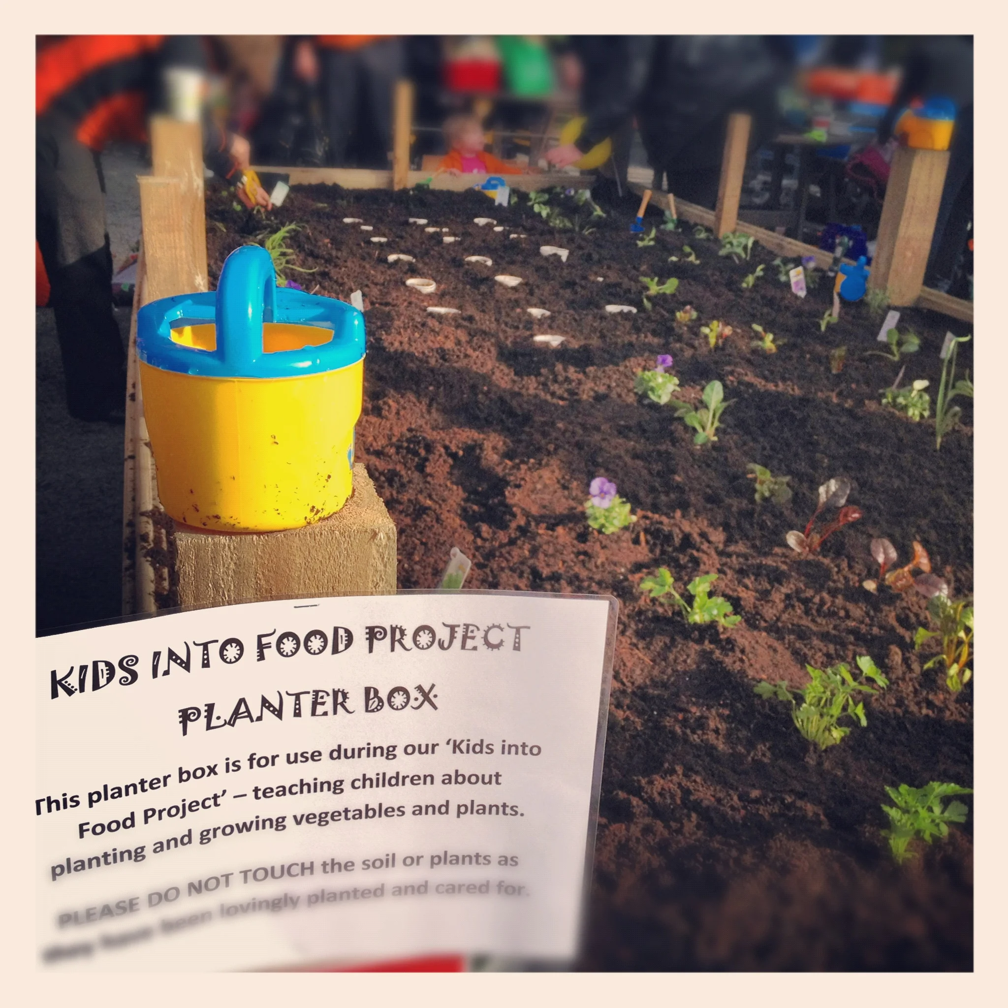  Planting seeds of the new city.&nbsp;The earthquake has pulled people together, making communities even more willing to help each other. 