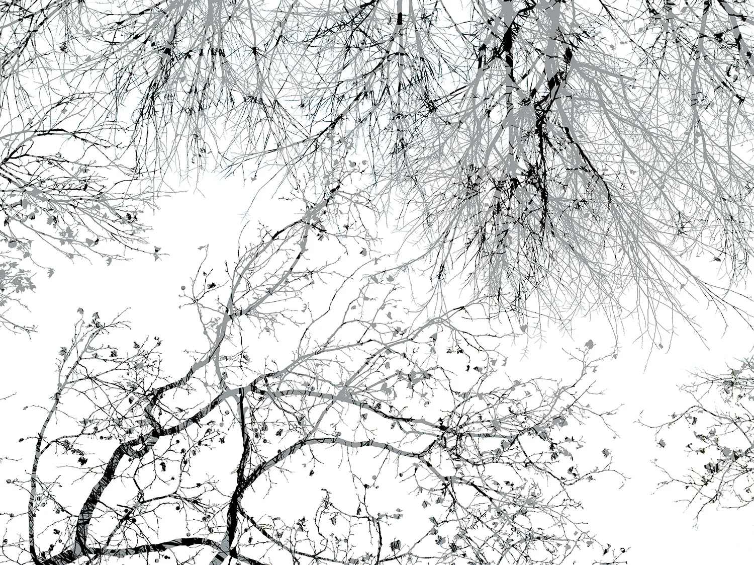 13_1126_243_2.jpg