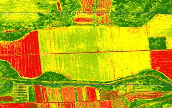 NDVI Mapping.jpg