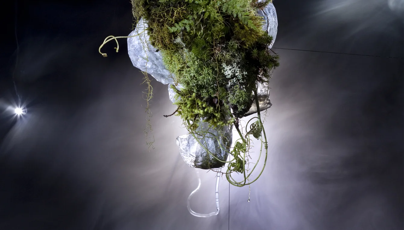 Topographies of the Unconscious V: Conservatory, 2011.