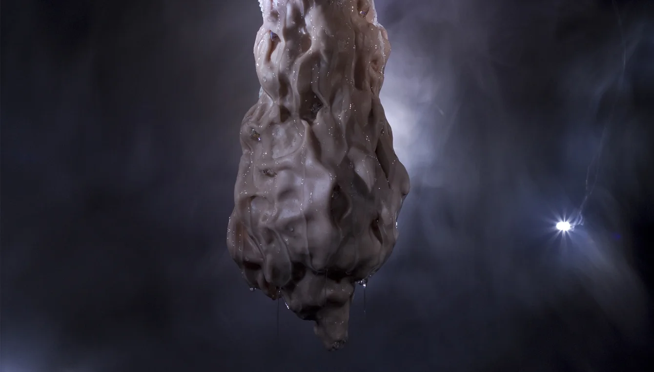 Topographies of the Unconscious IV: Candied on the inside, 2011.