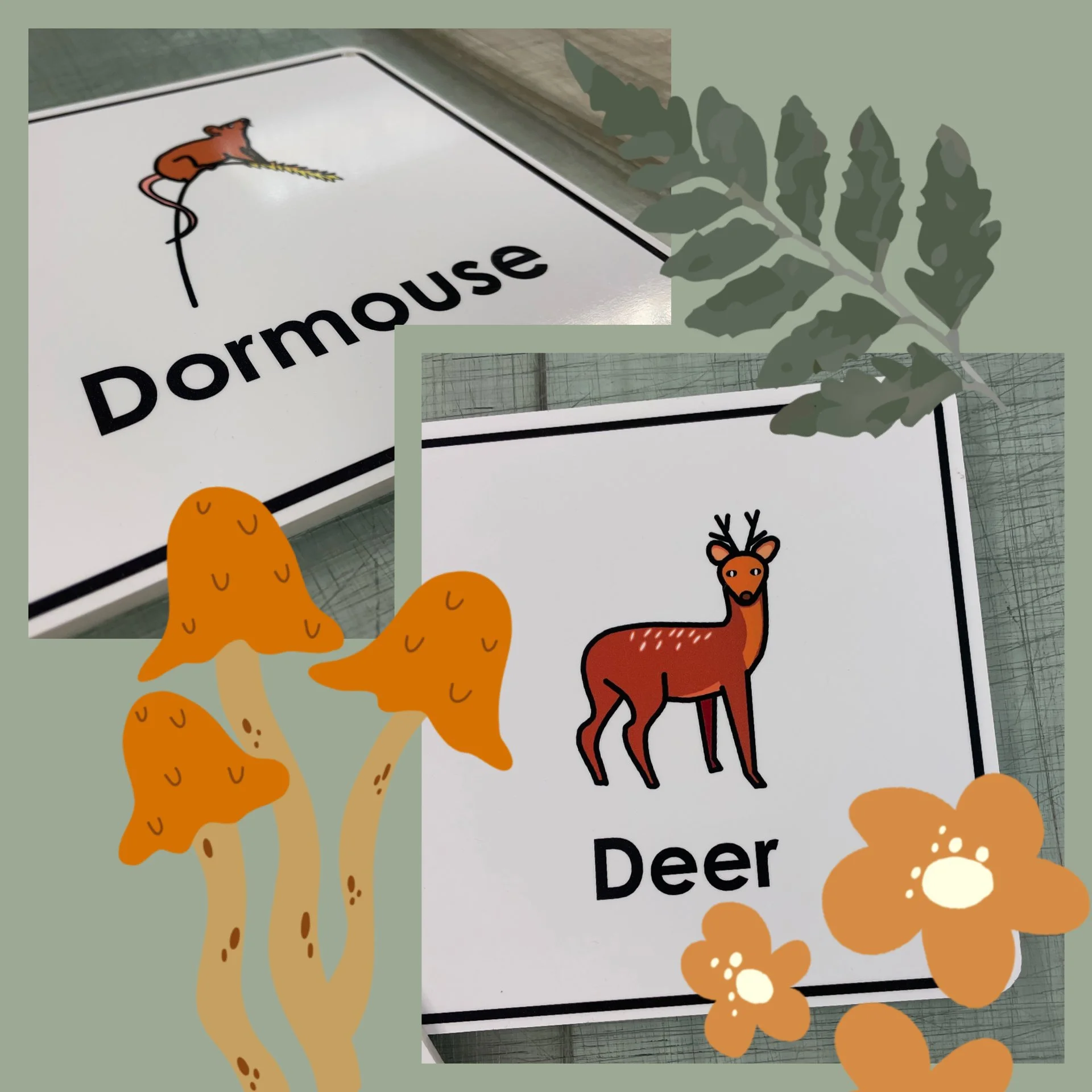 Educational acrylic sign 
