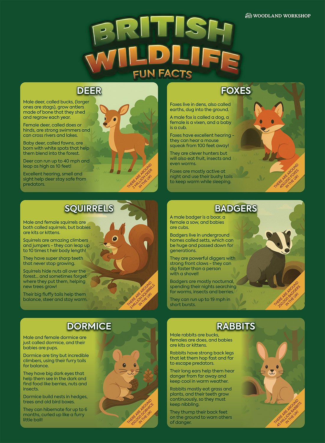 Wildlife Poster.JPG