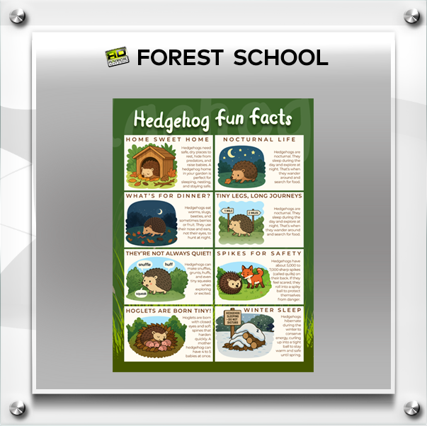 forest-school2.png