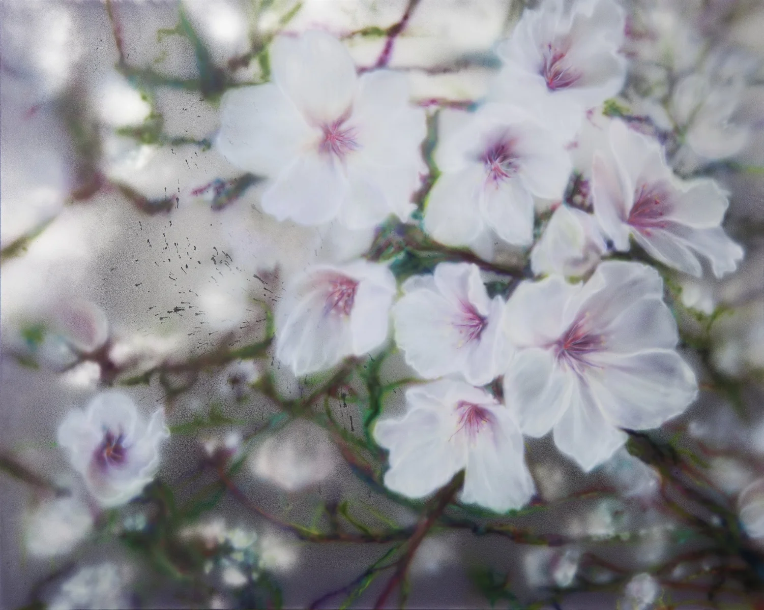 %22Sakura%22160x220 cm,2013 Genève collection privé.jpg