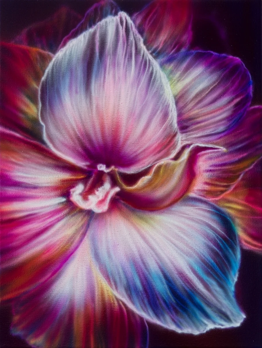 Elixir V, 40 x 30 cm, 2018  copie.jpg