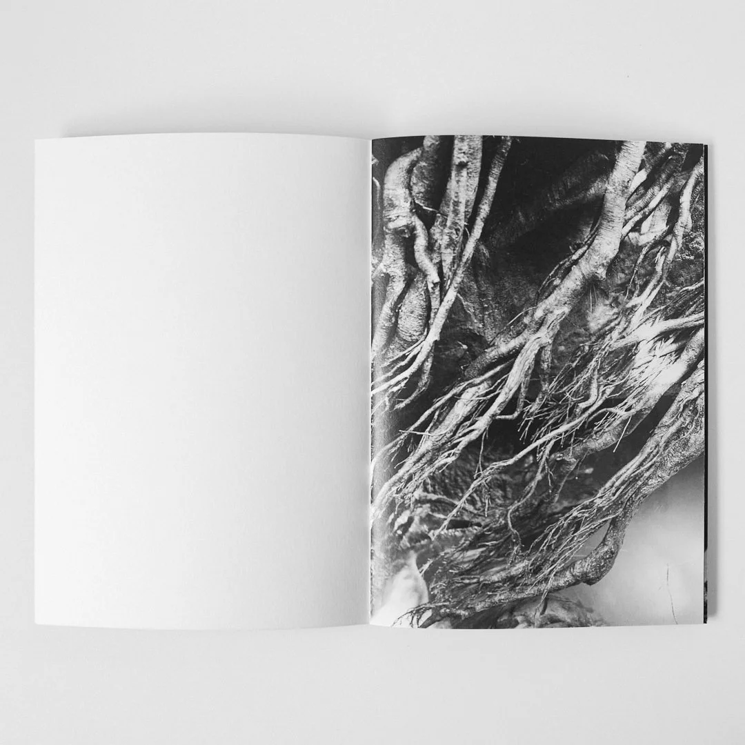 ig_02.jpg
