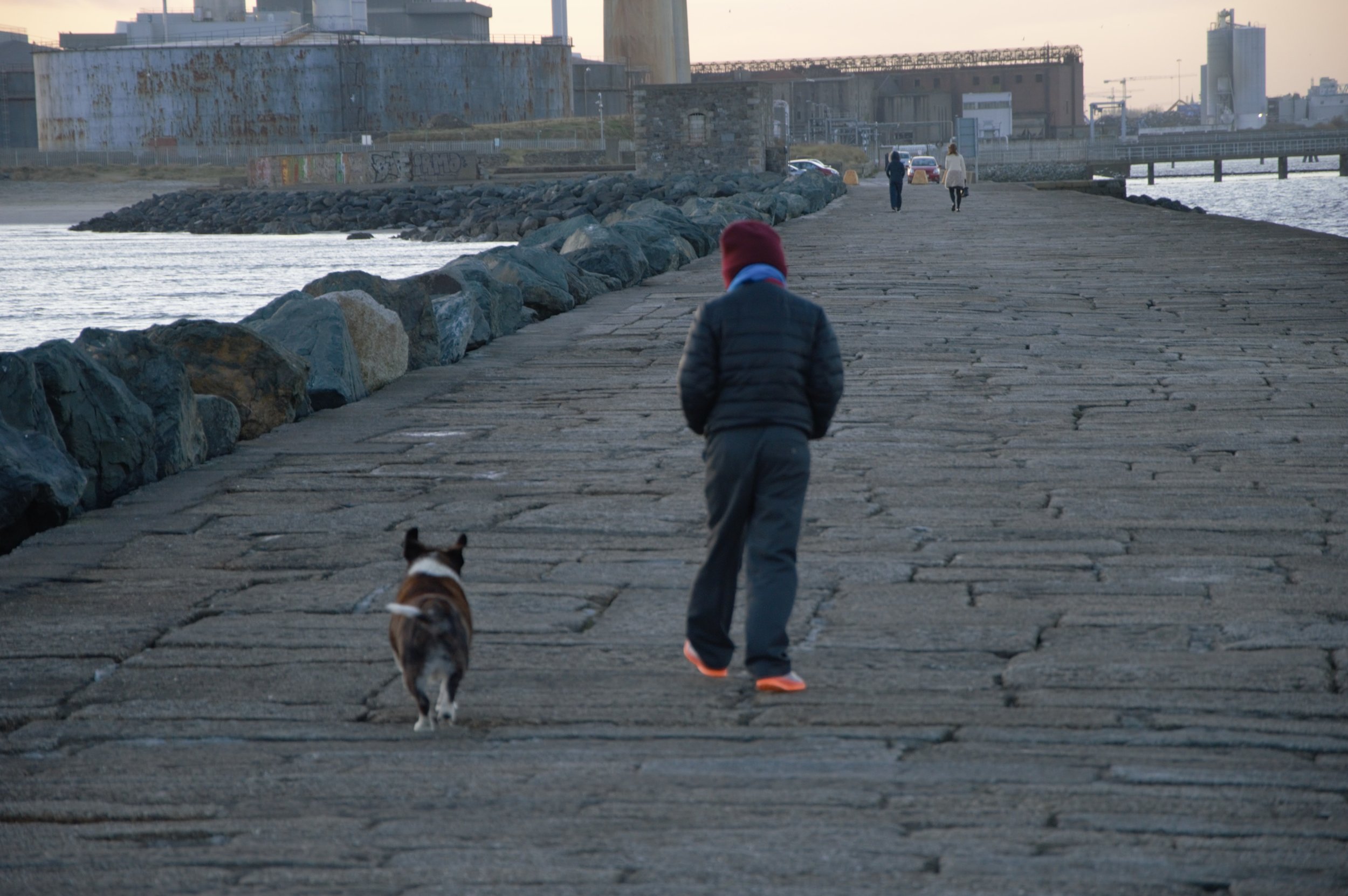 DSC_0913.jpg